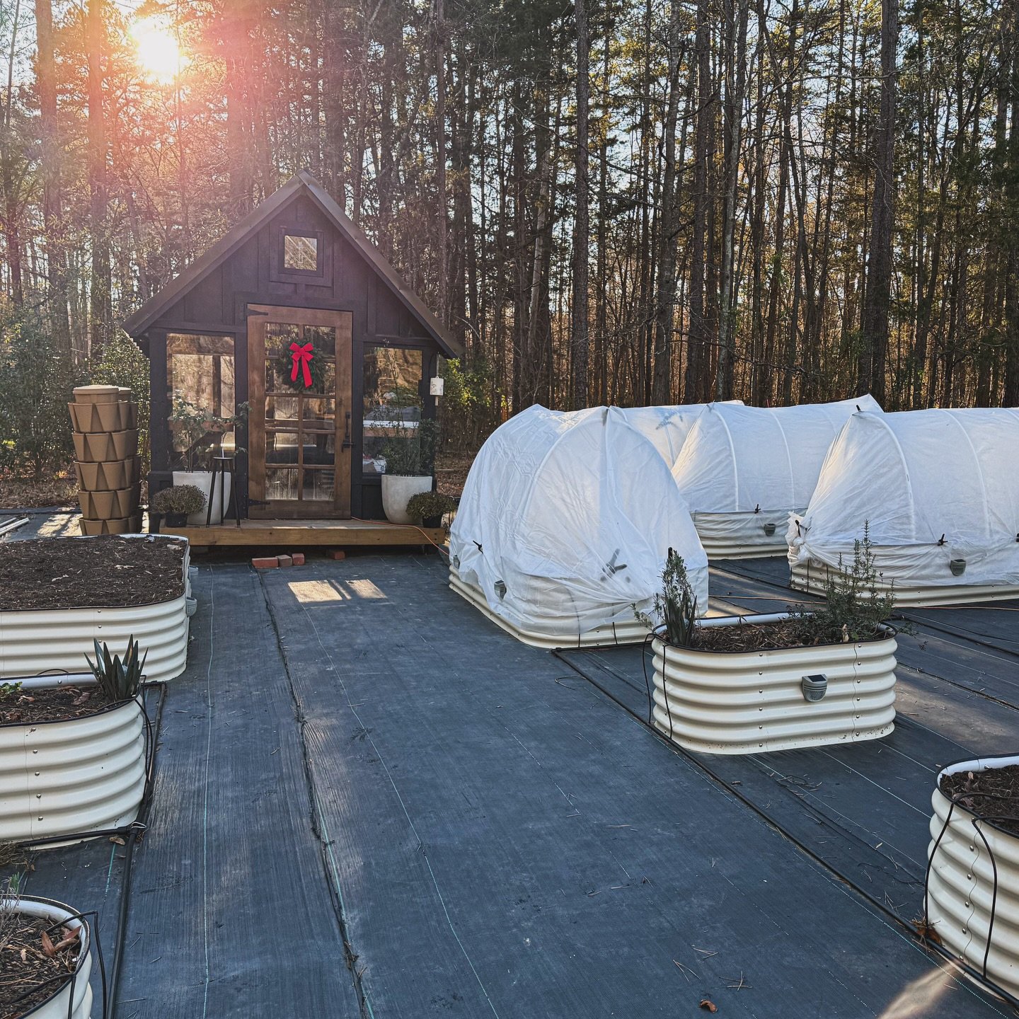 It&rsquo;s been a little quiet on here because this time of year gets chaotic in the very best way. 🌿✨ Spring planting is underway and all the babies are double tucked tonight with the temps dropping to 15&deg;. Tulips are finally planted and once i