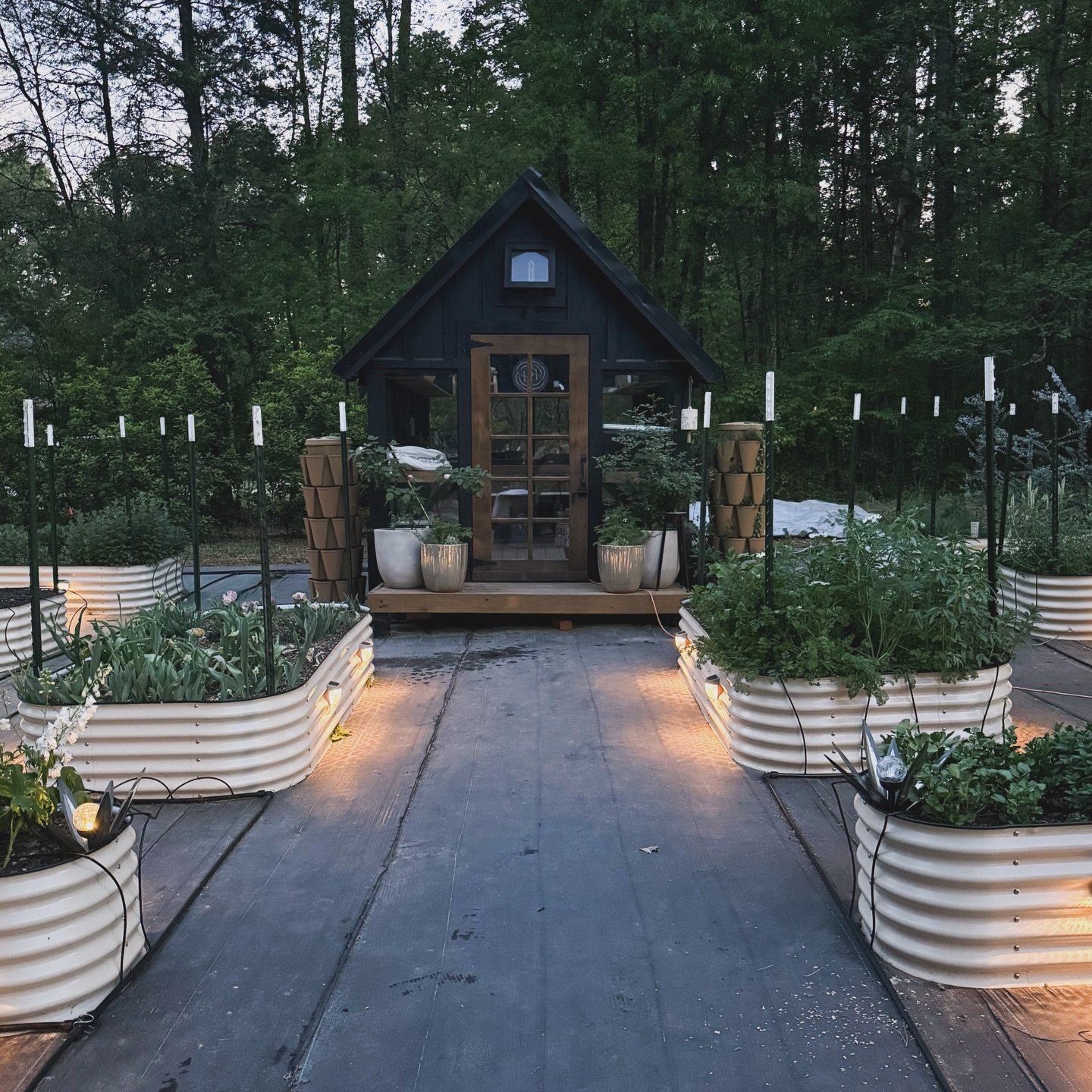 happy national gardening day 🤍

taking a deep breath before the heat settles in over the next couple of days
the garden has slowed with the drought, but I&rsquo;m doing my best to keep everything hydrated and cared for
there&rsquo;s a quiet resilien
