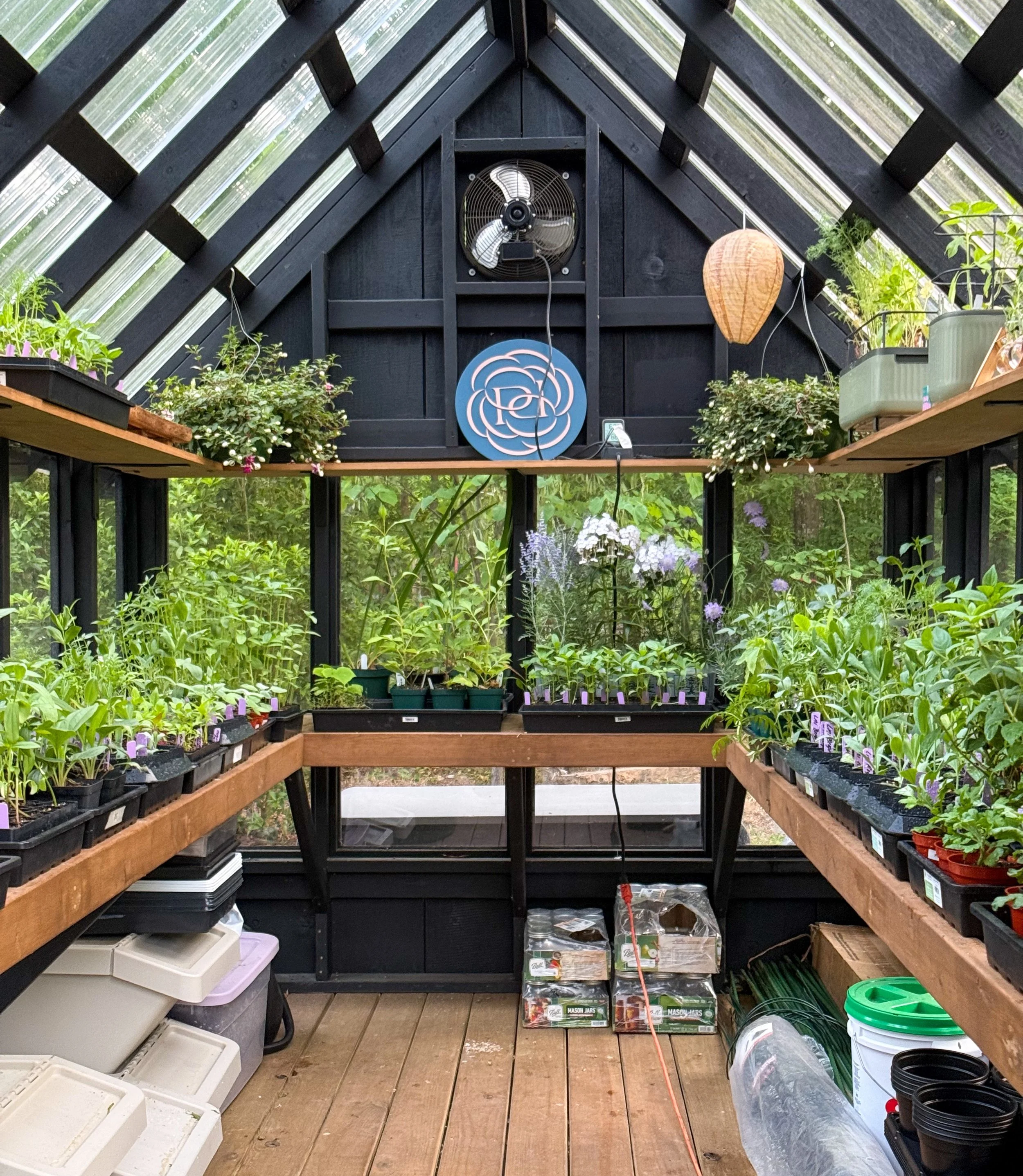 Currently almost every available surface in the greenhouse is covered in seedlings and future flowers 🌿

It&rsquo;s a little crowded, a little chaotic, and very full of life right now&hellip; one of my favorite stages of the season.

#greenhouse #be