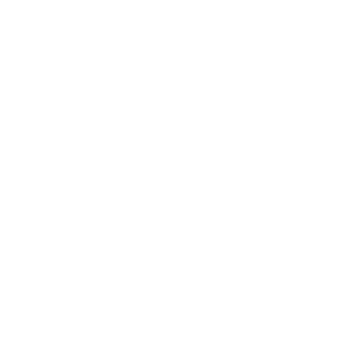 White eight-petaled mandala logo with diagonal left axis highlighted, representing the Inner–Outer dimension — the bridge of compassion and awareness, the Wing of Compassion.