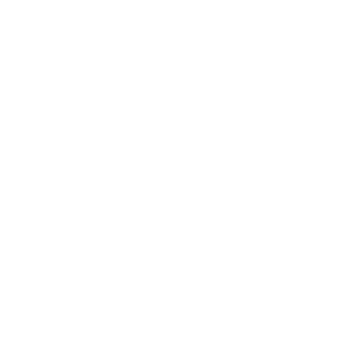 White eight-petaled mandala logo with diagonal right axis highlighted, symbolizing the Time–Space dimension — the Wing of Presence, where past and future meet in the eternal now.