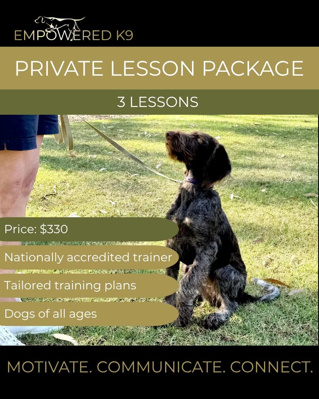 PRIVATE LESSON PACKAGE

✅3x 45min lessons

✅On-site at Empowered K9 Wangaratta

✅Price: $330

Our on-site private lessons are delivered as a package of three sessions, allowing us to truly get to know you and your dog. This structured approach gives 