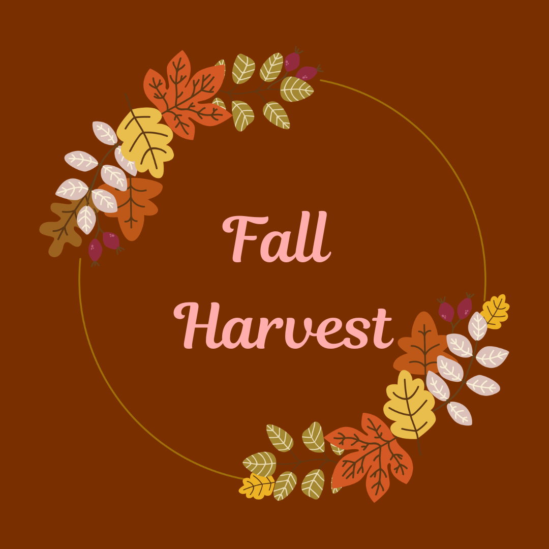 Hello Fall Instagram Post.png