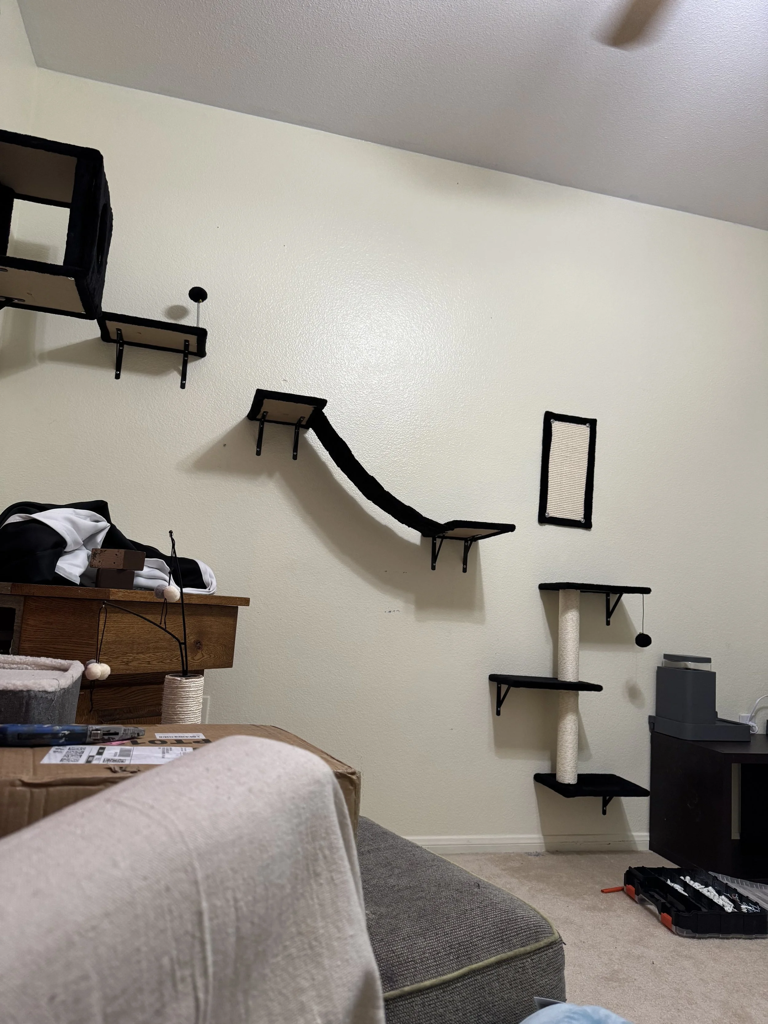 A room with a beige wall and a multi-level black and beige cat tree. Part of a beige couch and a cardboard box are visible in the foreground. There are shelves and a small black piece of furniture on the wall, and various items such as a printer and tool box on the floor.