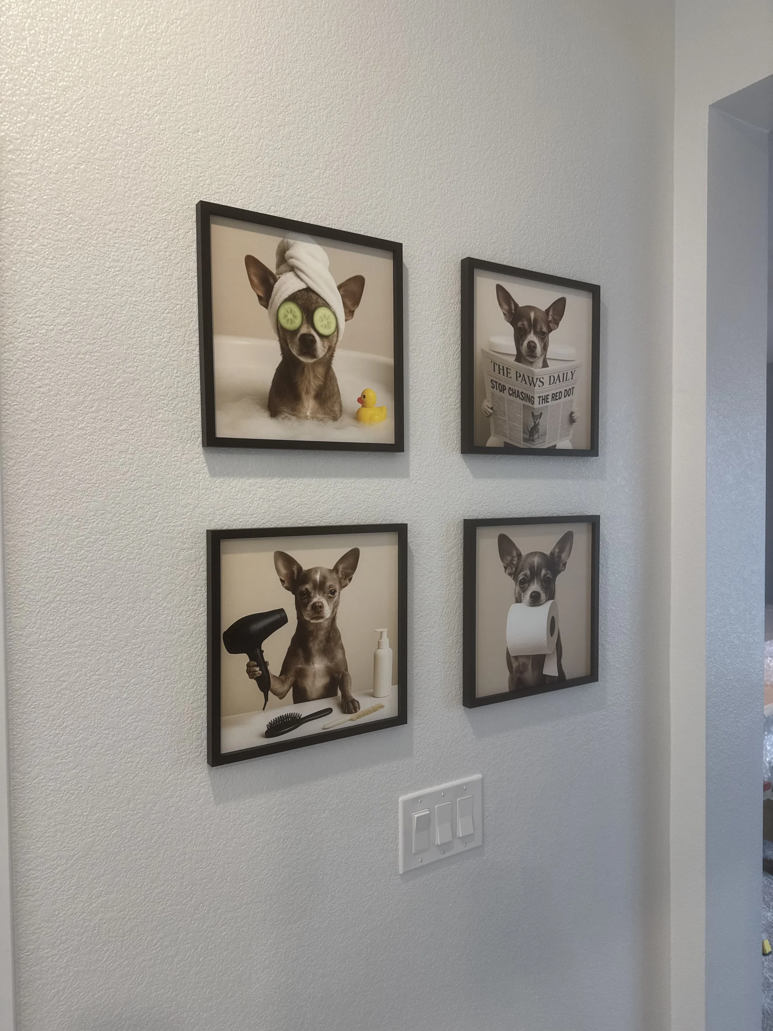 Four framed pictures of small dogs with various props on a white wall.