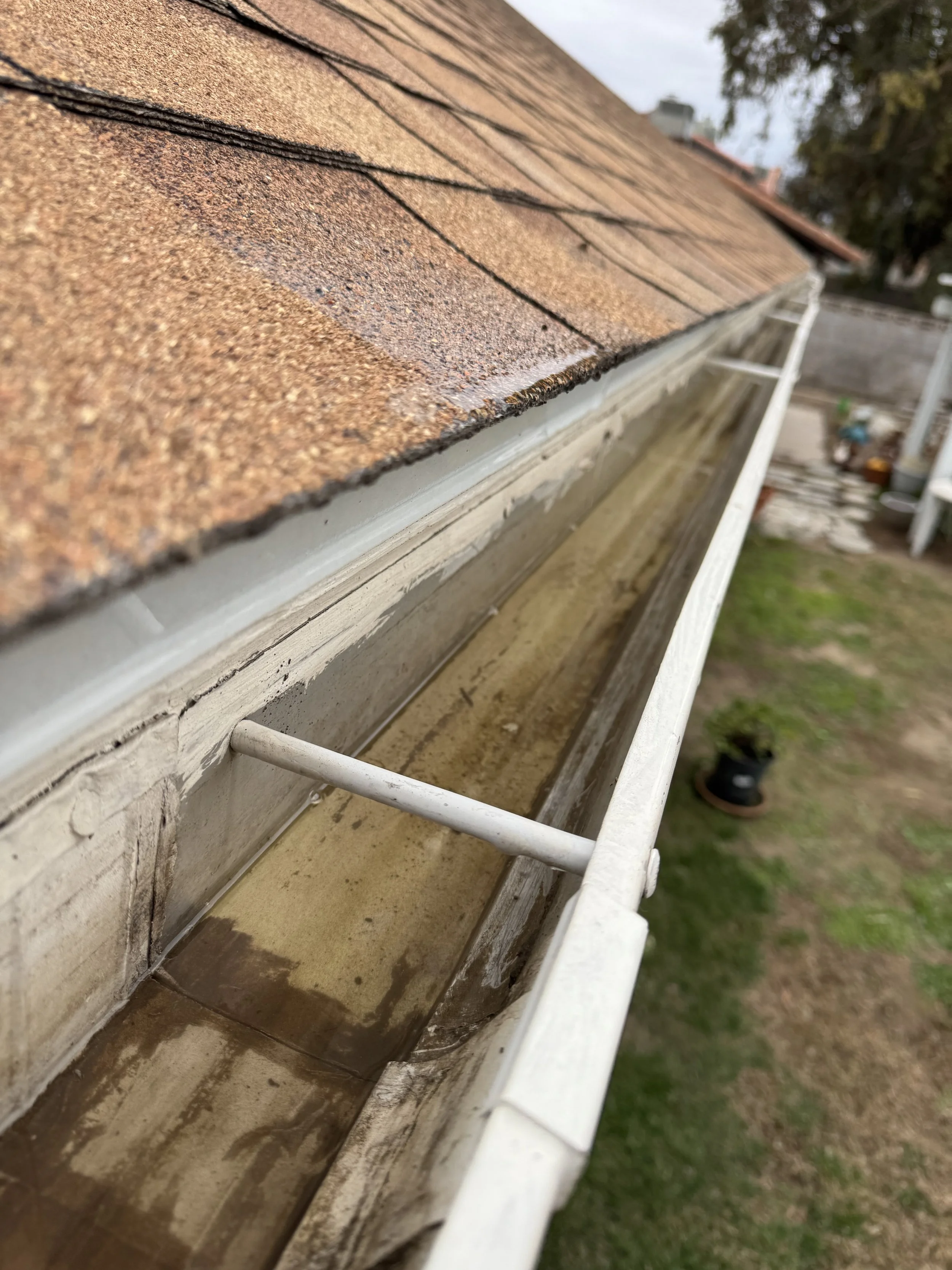 Close-up of a gutter system attached to a house with a brown shingle roof, showing the inside of the gutter with debris and water accumulation.