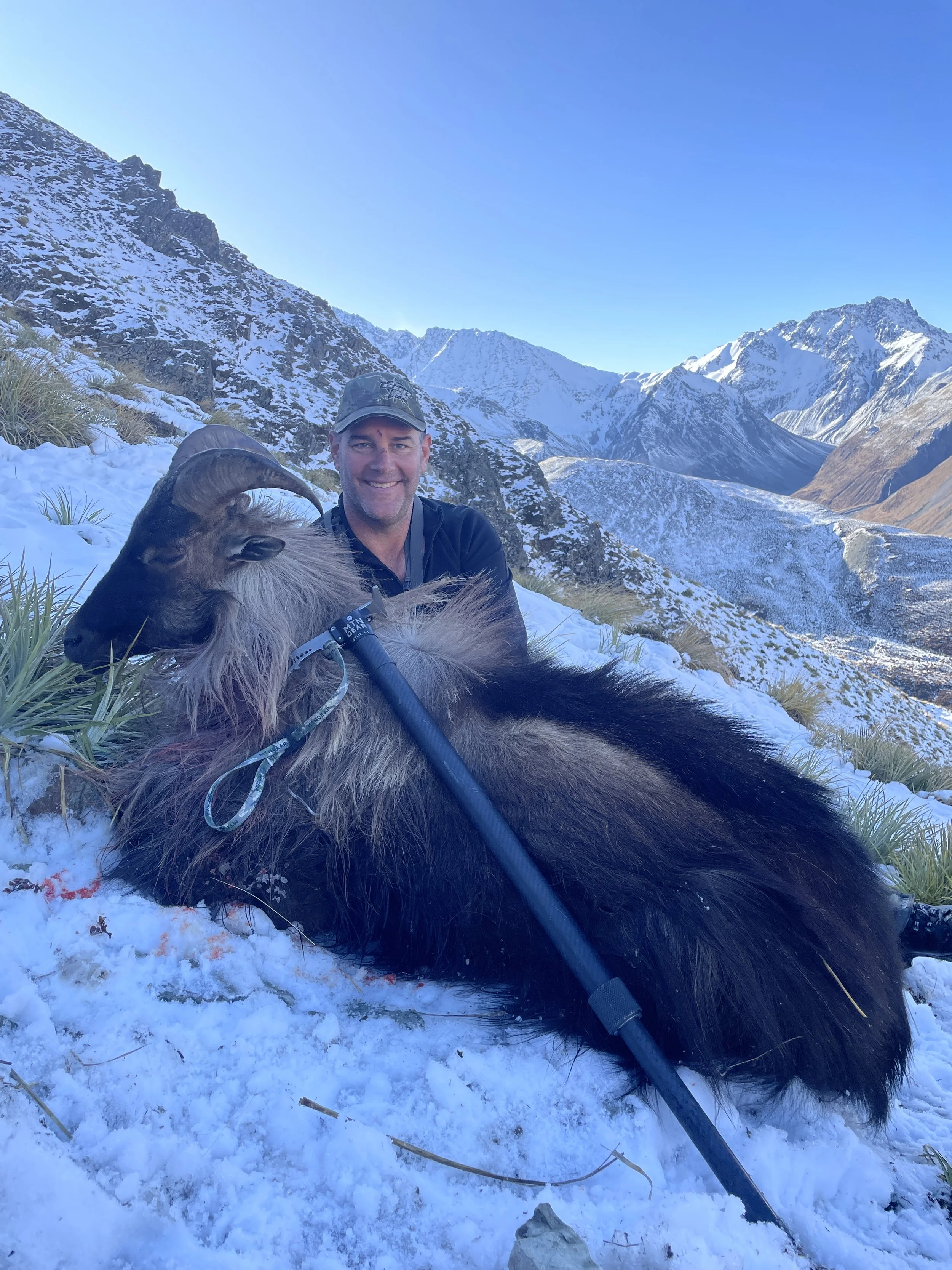 A man in outdoor clothing and a cap kneeling next to a large, dead Himalayan mountain goat with curved horns, on a snowy mountain landscape with rugged peaks in the background.
