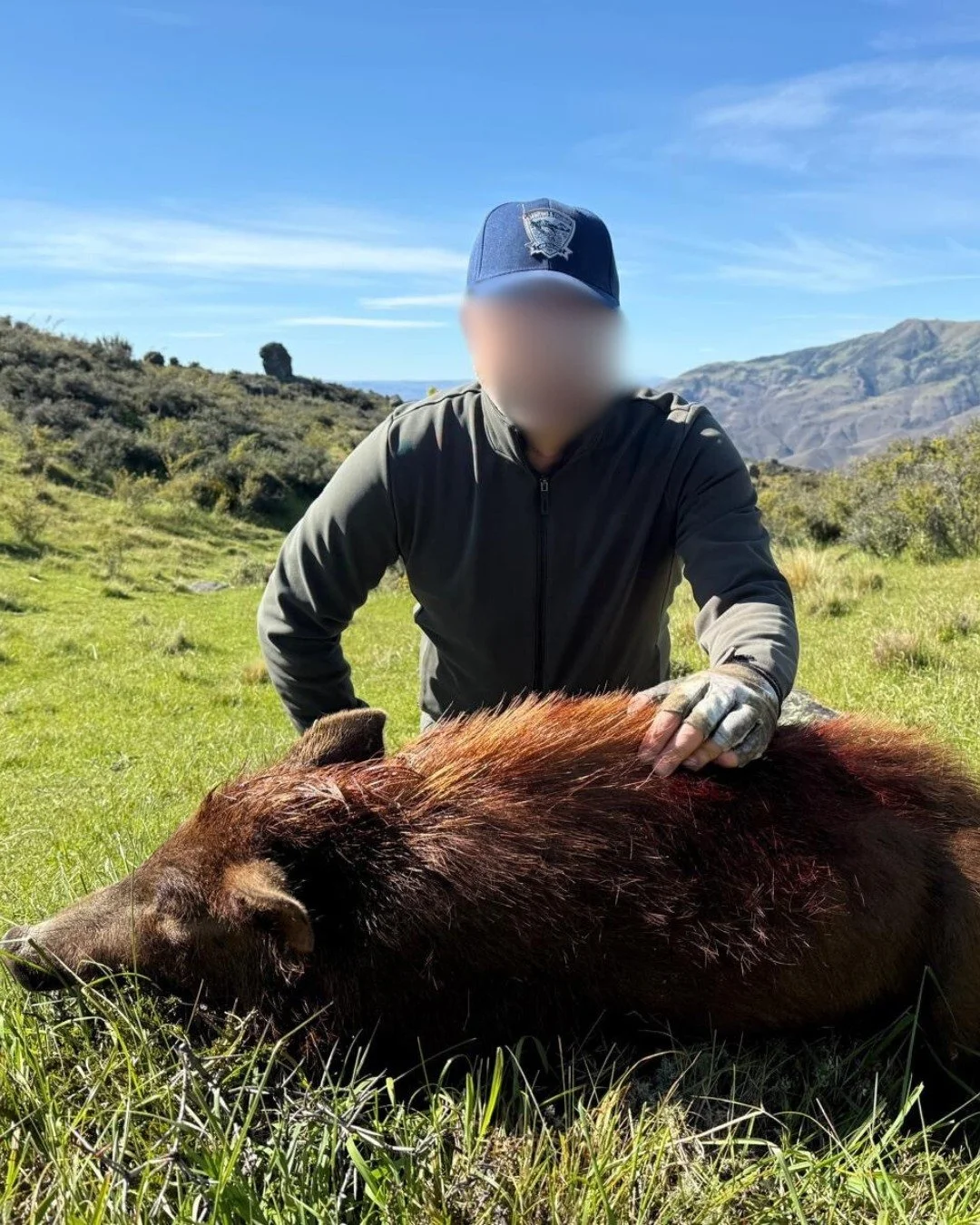 Are you in New Zealand for summer? Do you know we hunt all year round? 
Congratulations T and M on your summer hunt for pigs and goats ! Returning client's from May this season getting out around Central Otago pig hunting with dogs and goat shooting 