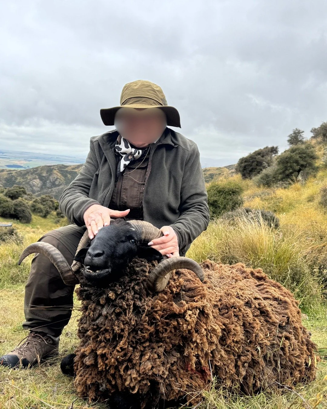 A very exciting hunt with lots of hugs and tears of joy, an accomplishment this grandmother didn't think she was ever going to achieve - congrats on your beautiful arapawa ram such a great moment to be apart of and one I will never forget!

Book now 