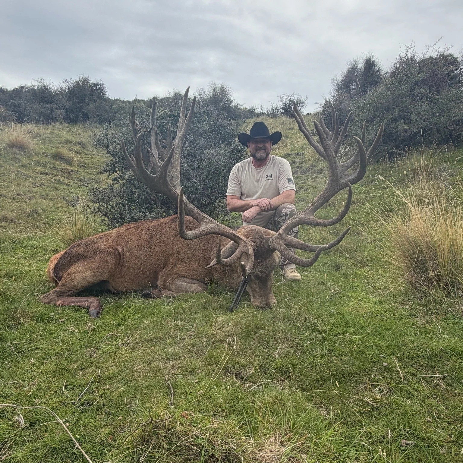 A cracker red stag for Jarod - congratulations, super excited for you. Well done!

Come hunt with the team at New Zealand Trophy Hunting, you will come to us liking hunting , you will leave loving hunting!

Come hunt Wapiti (elk) , Red Stags, Fallow 