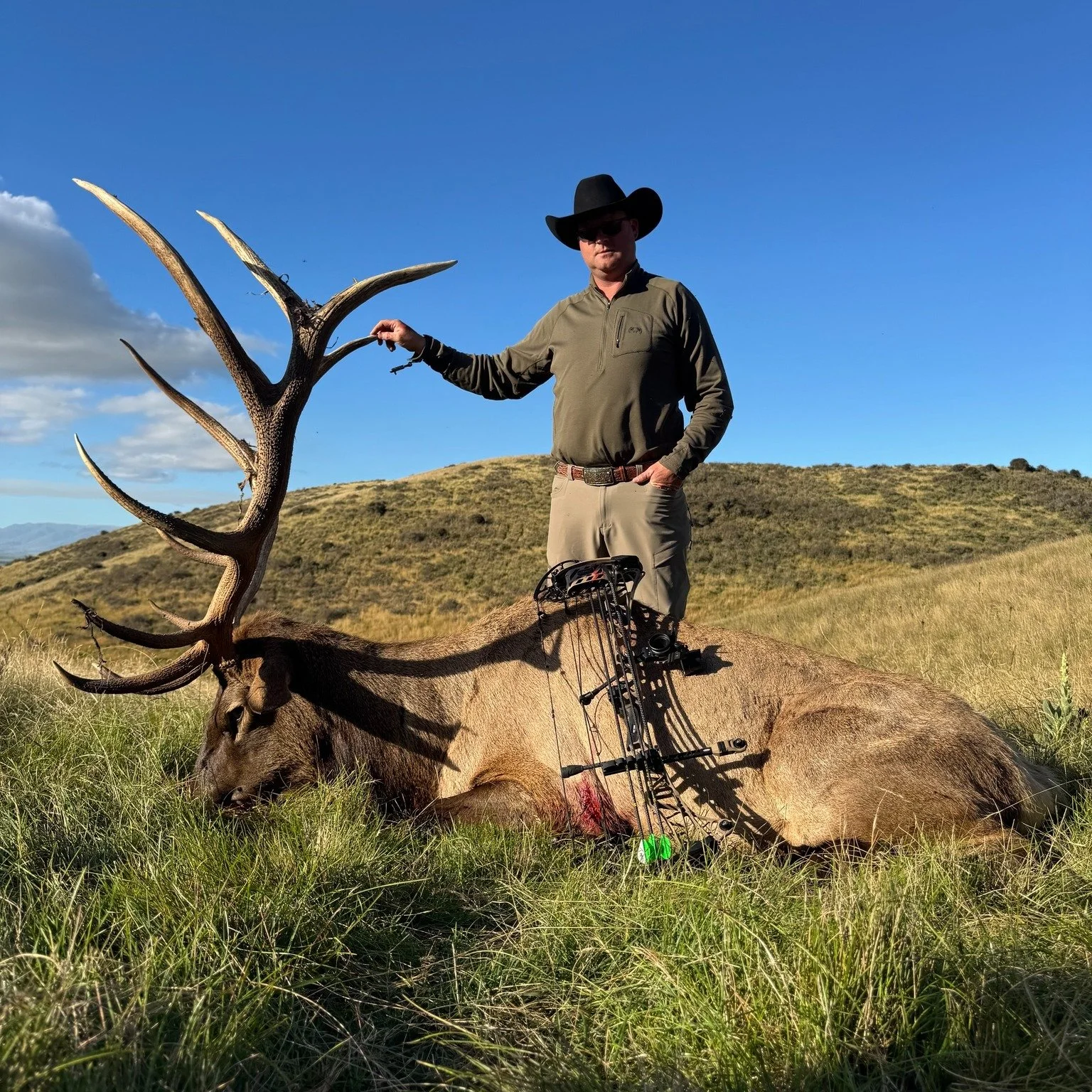 Some epic wapiti (elk) getting bow hunted , well done Buck on your amazing trophy!

Book your spot to hunt these majestic animals with the team at New Zealand trophy hunting.

Call: +64212216048 Email: info@newzealandtrophyhunting.com
Website: www.ne