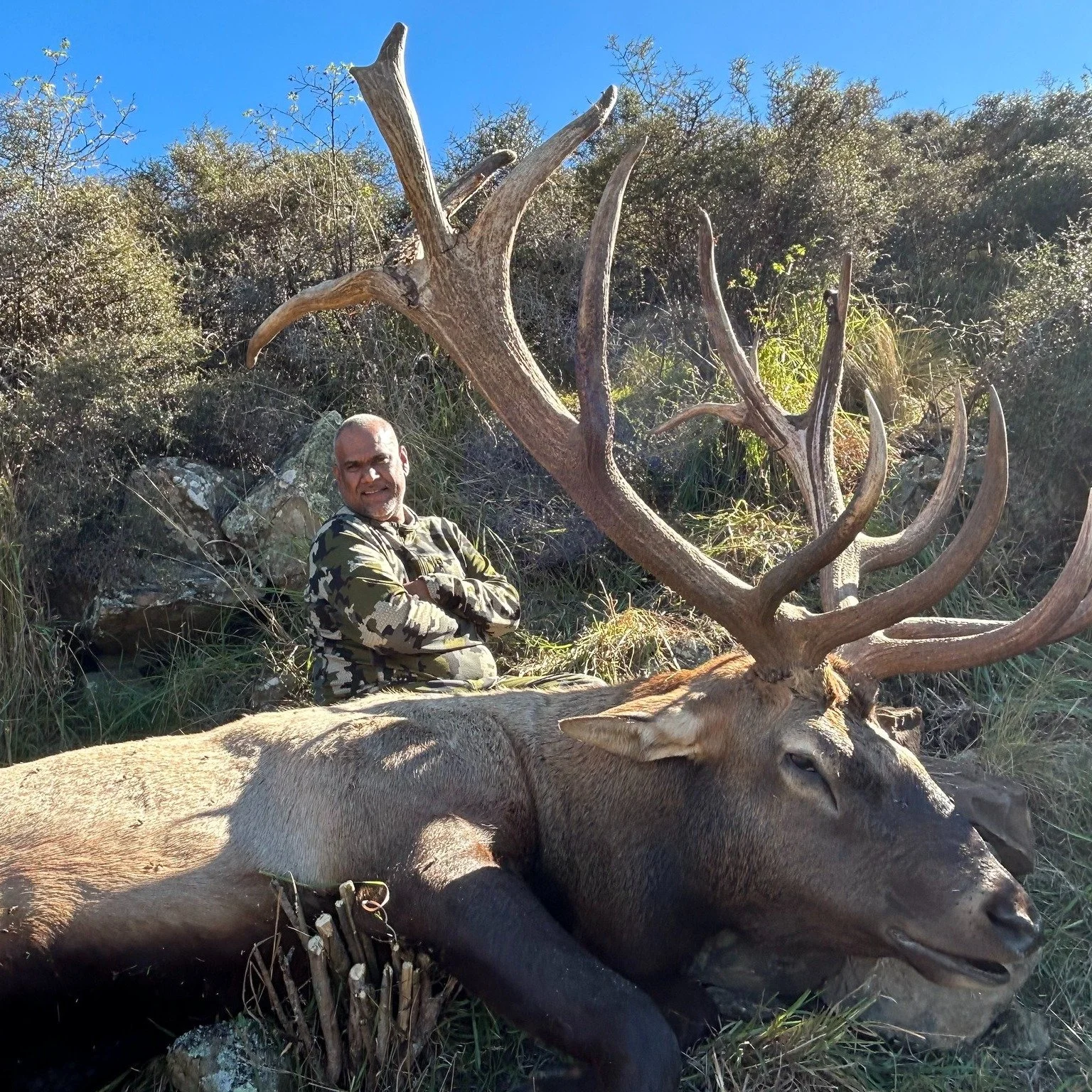 An incredible wapiti (elk) well done Akram.
Get in touch with the team at New Zealand Trophy hunting to secure your spot for an epic New Zealand Hunting Adventure. 
Call: +64212216048 Email: info@newzealandtrophyhunting.com
Website: www.newzealandtro