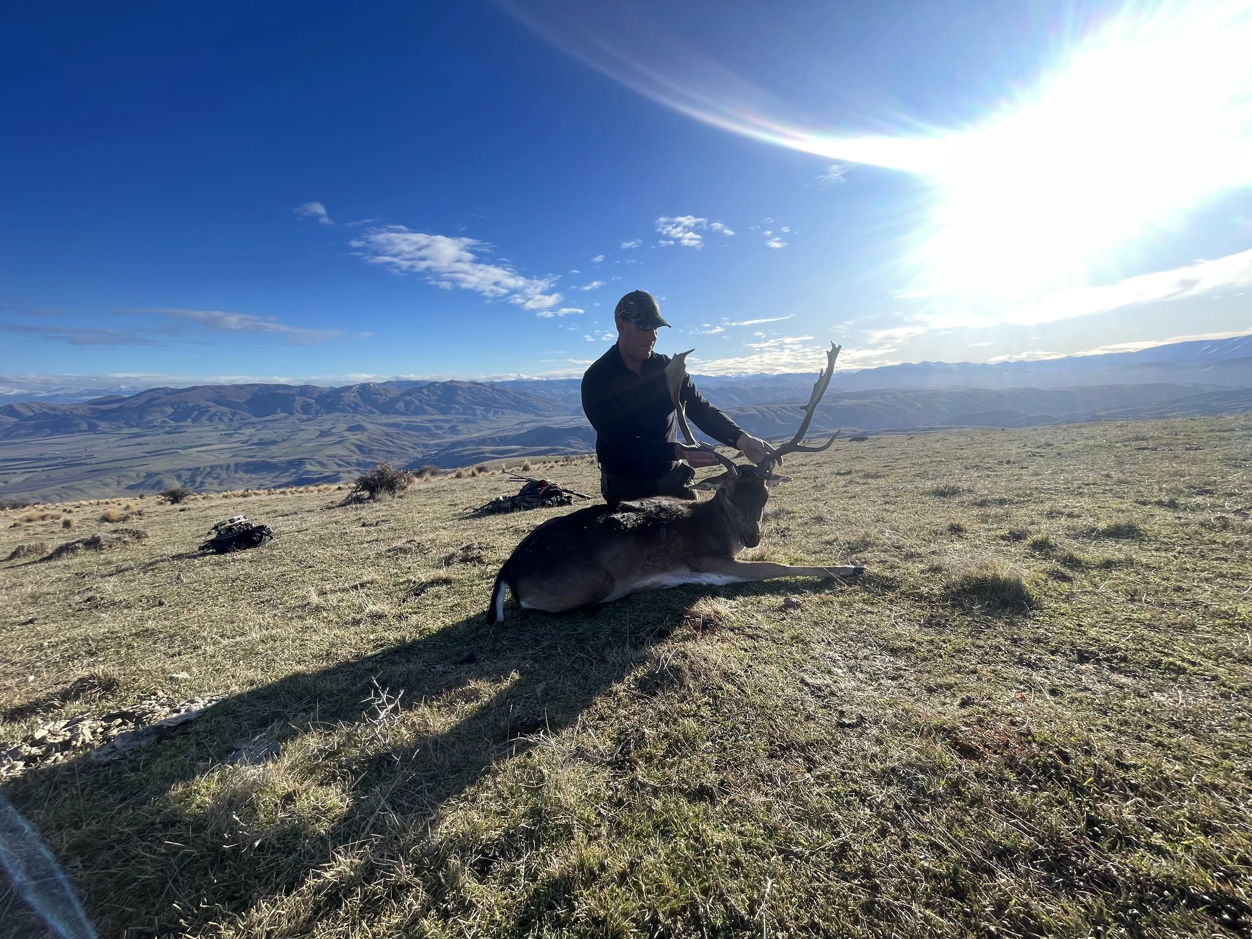 A person kneeling on a grassy hill with a mountainscape in the background, holding the antlers of a large elk they have hunted.