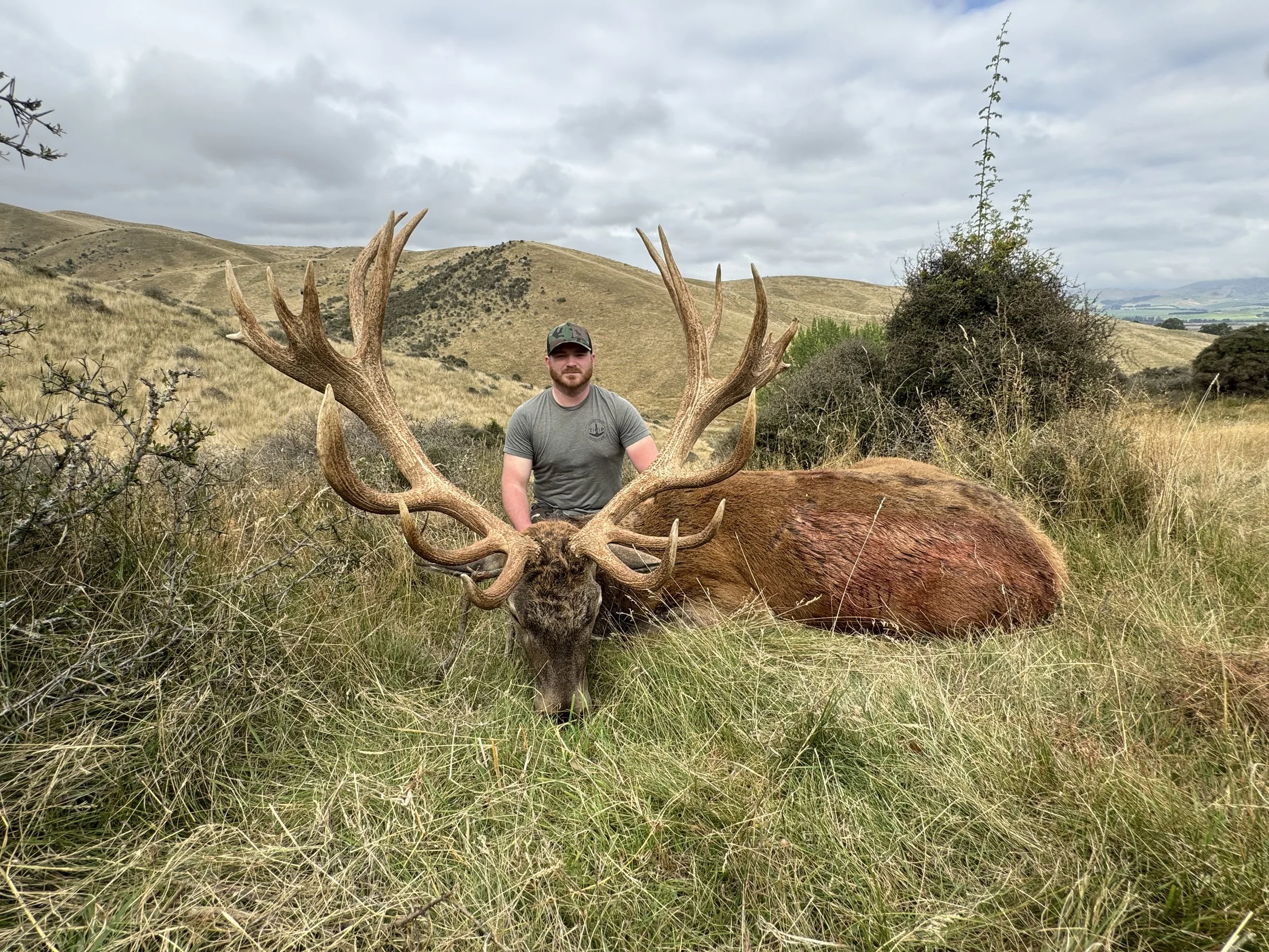 A man in a gray t-shirt and camouflage cap kneeling next to a large stag with impressive antlers lying in tall grass in a hilly, grassy landscape under cloudy skies.