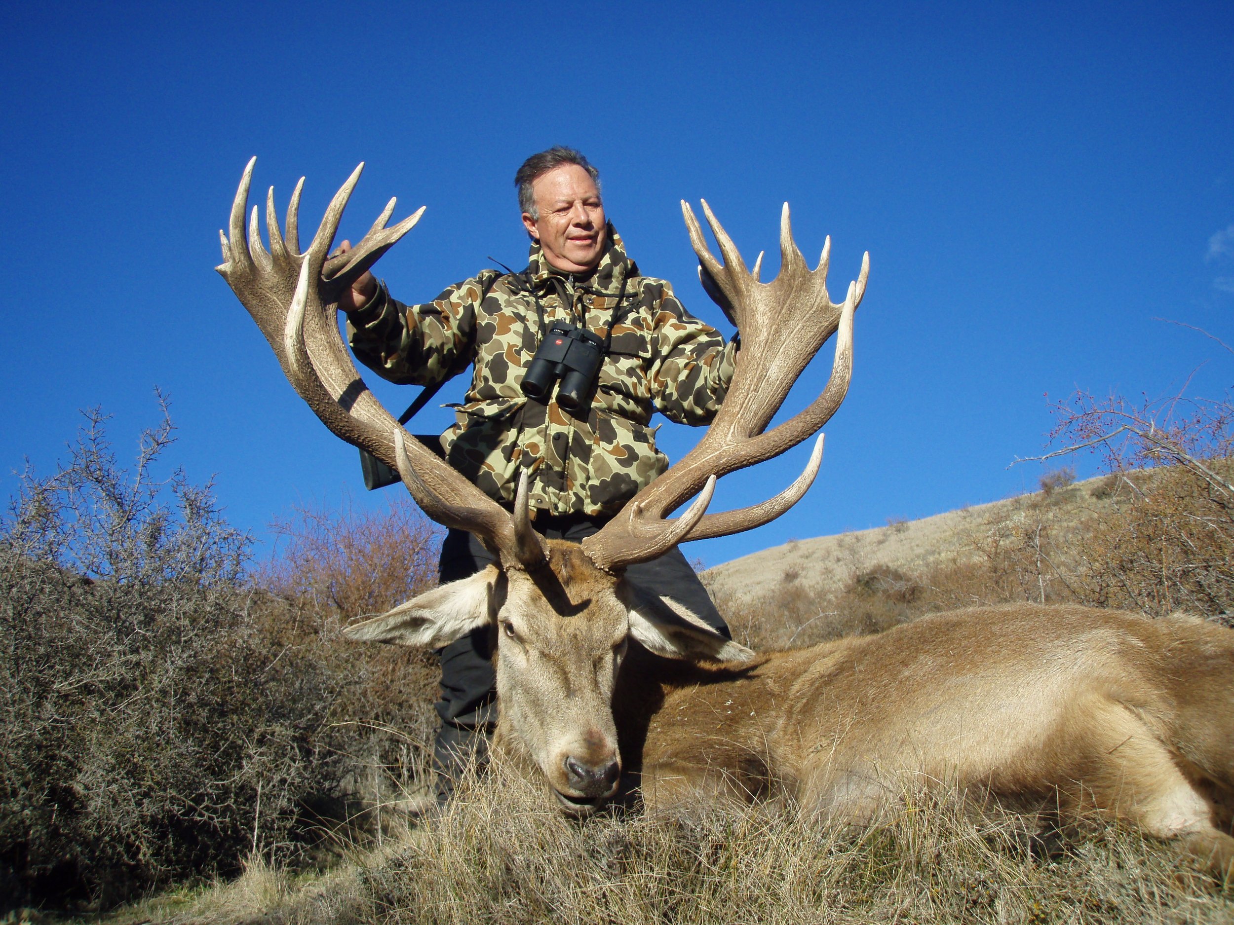 Red Stag 10.jpg