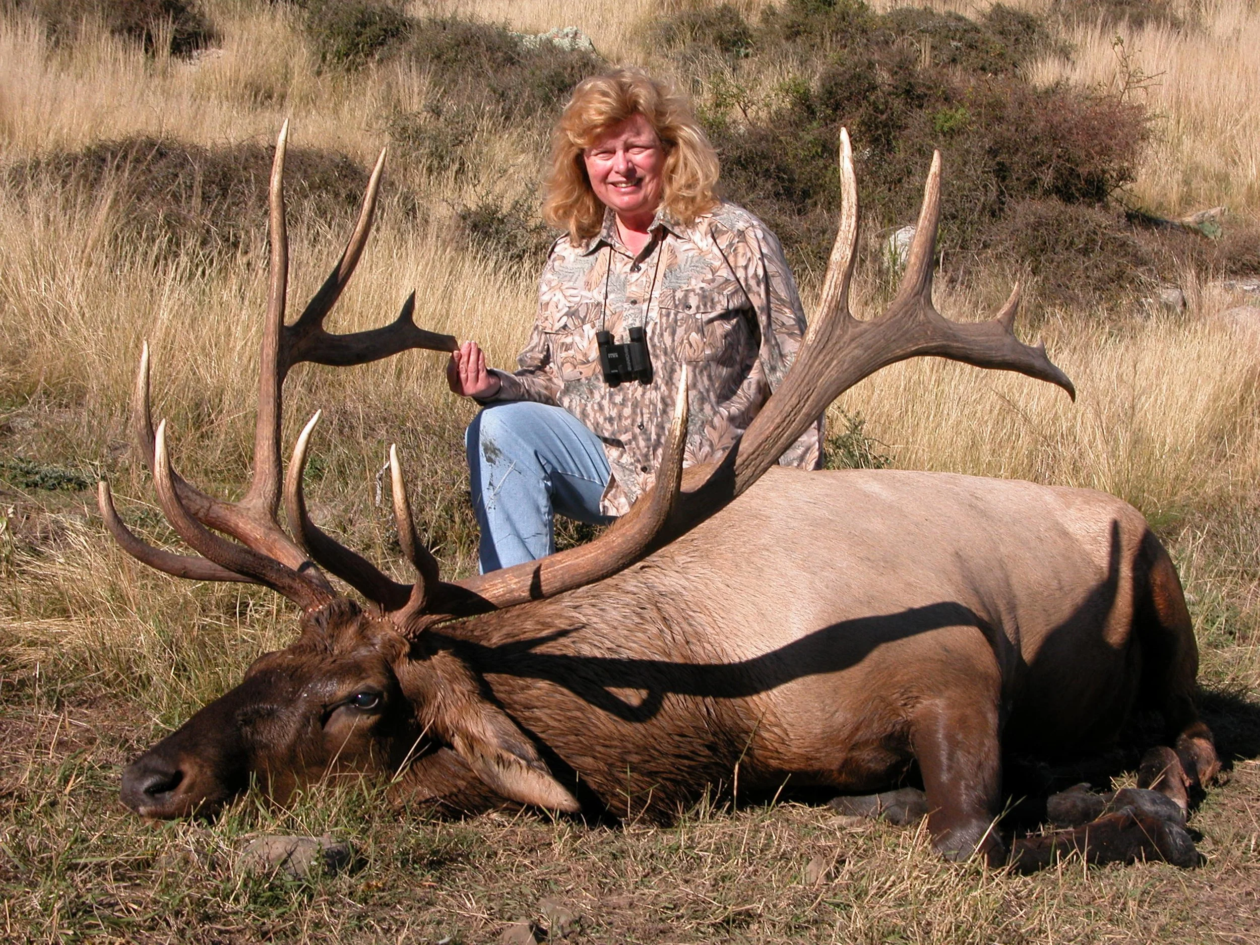 08Wapiti1.jpg