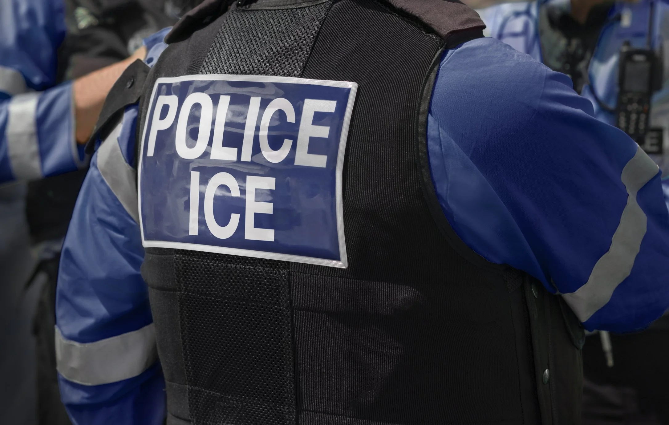 What to Do if You See an ICE Action</span>