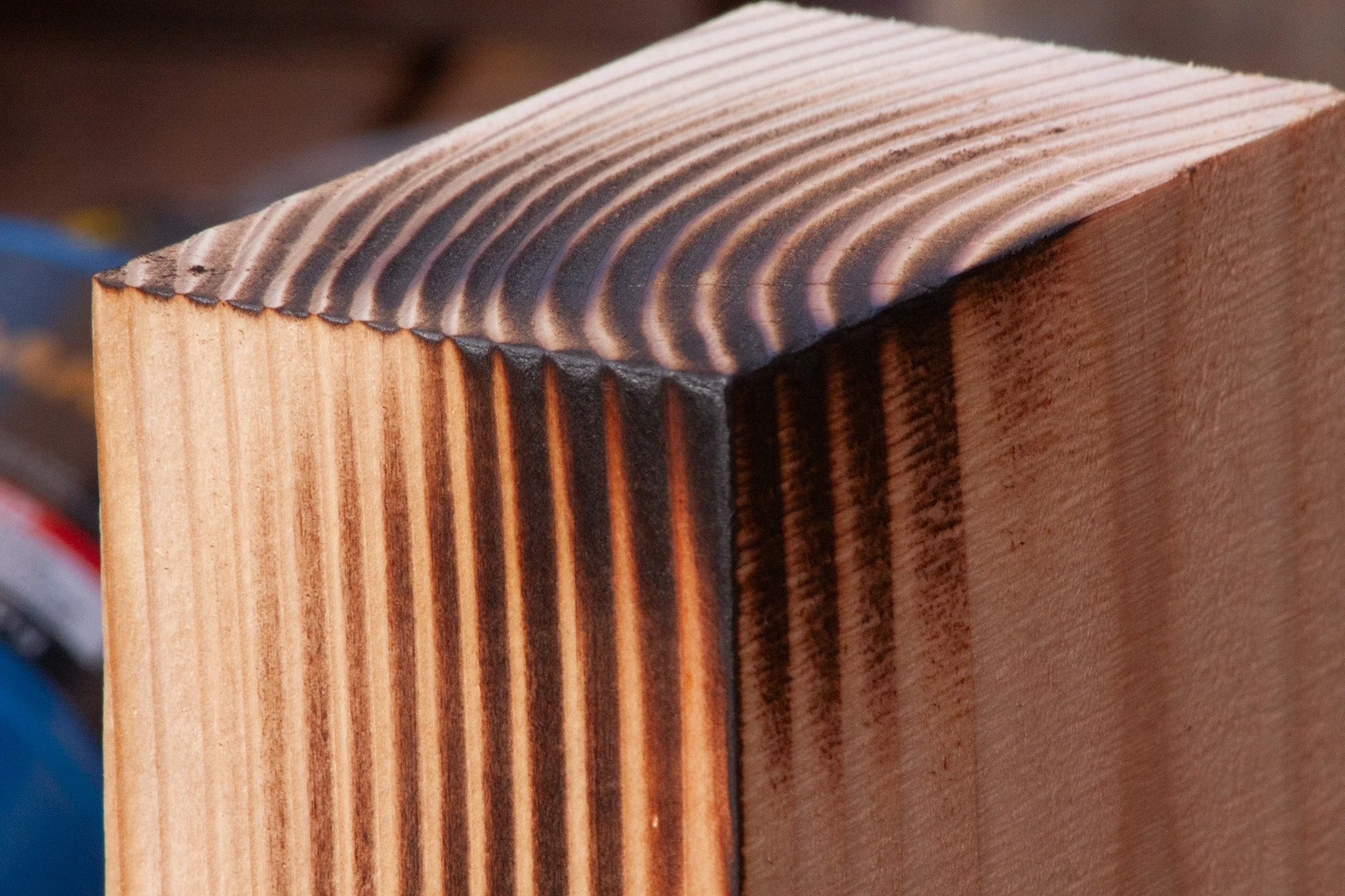 step 2 burn away softer spring growth .jpg