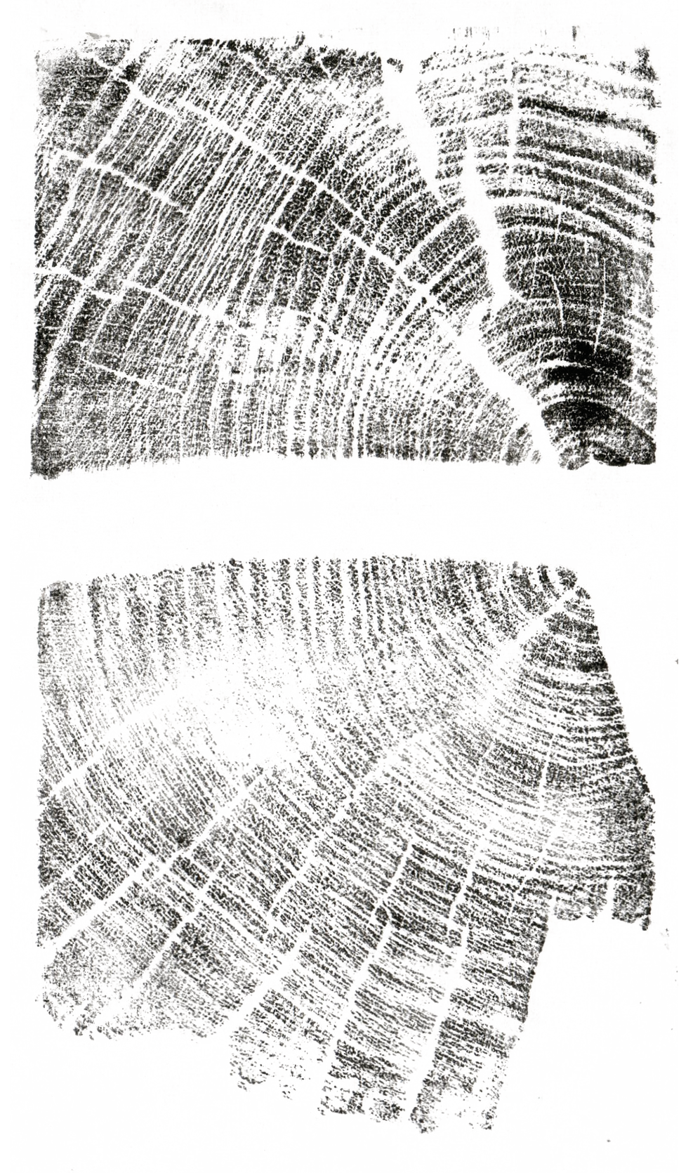 Screenshot 2026-02-22 162907.png