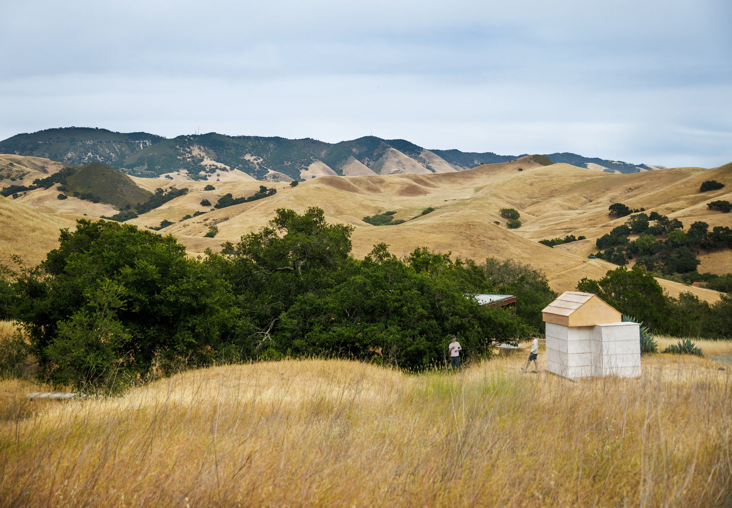 Poly Canyon Accessory.  Photography by Joe Johnston.