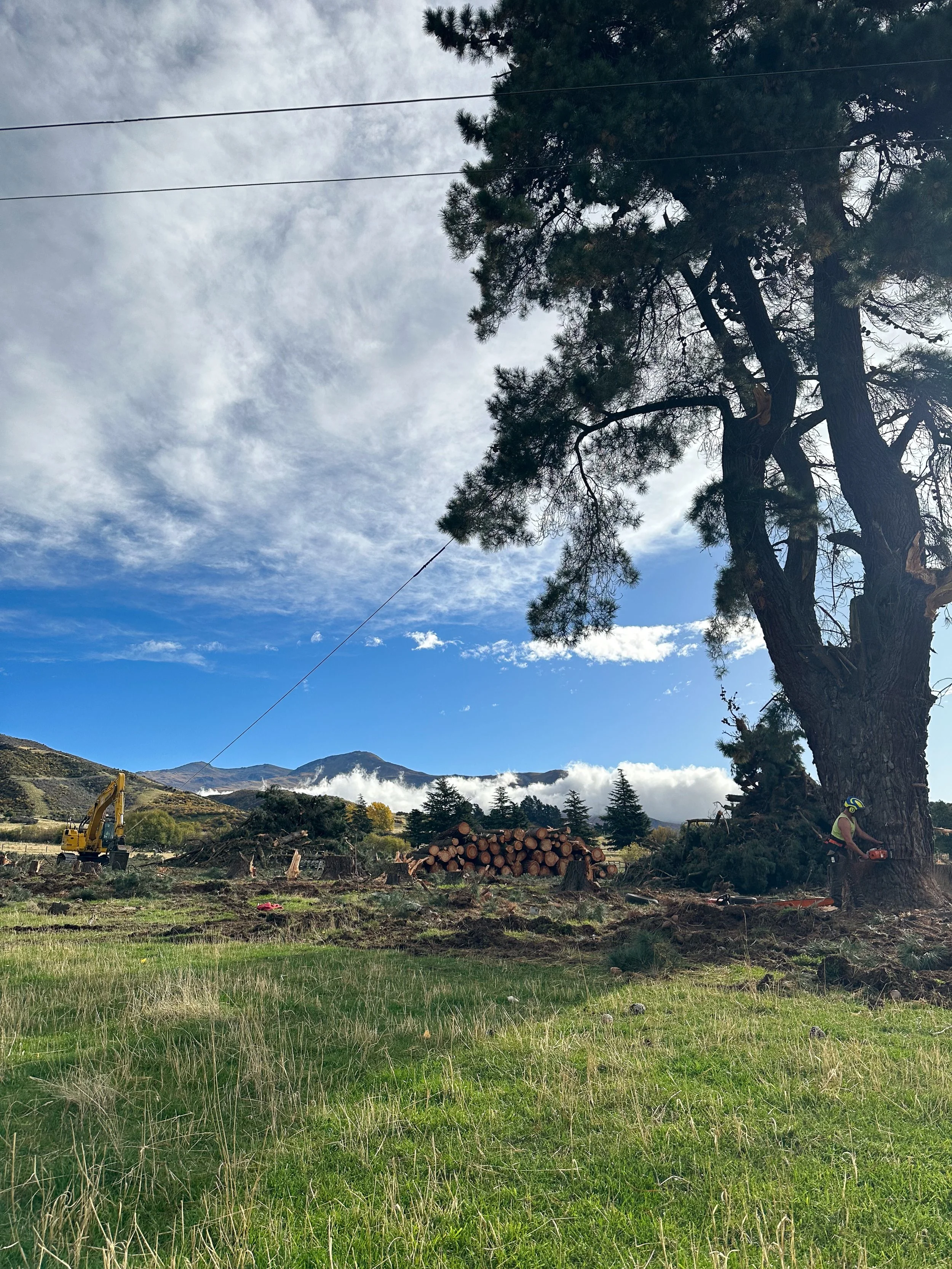 A person wearing a safety helmet and vest cutting a large tree with a chainsaw while a yellow excavator prepares to move logs in a clearing with grass, mountains, and a partly cloudy sky in the background.