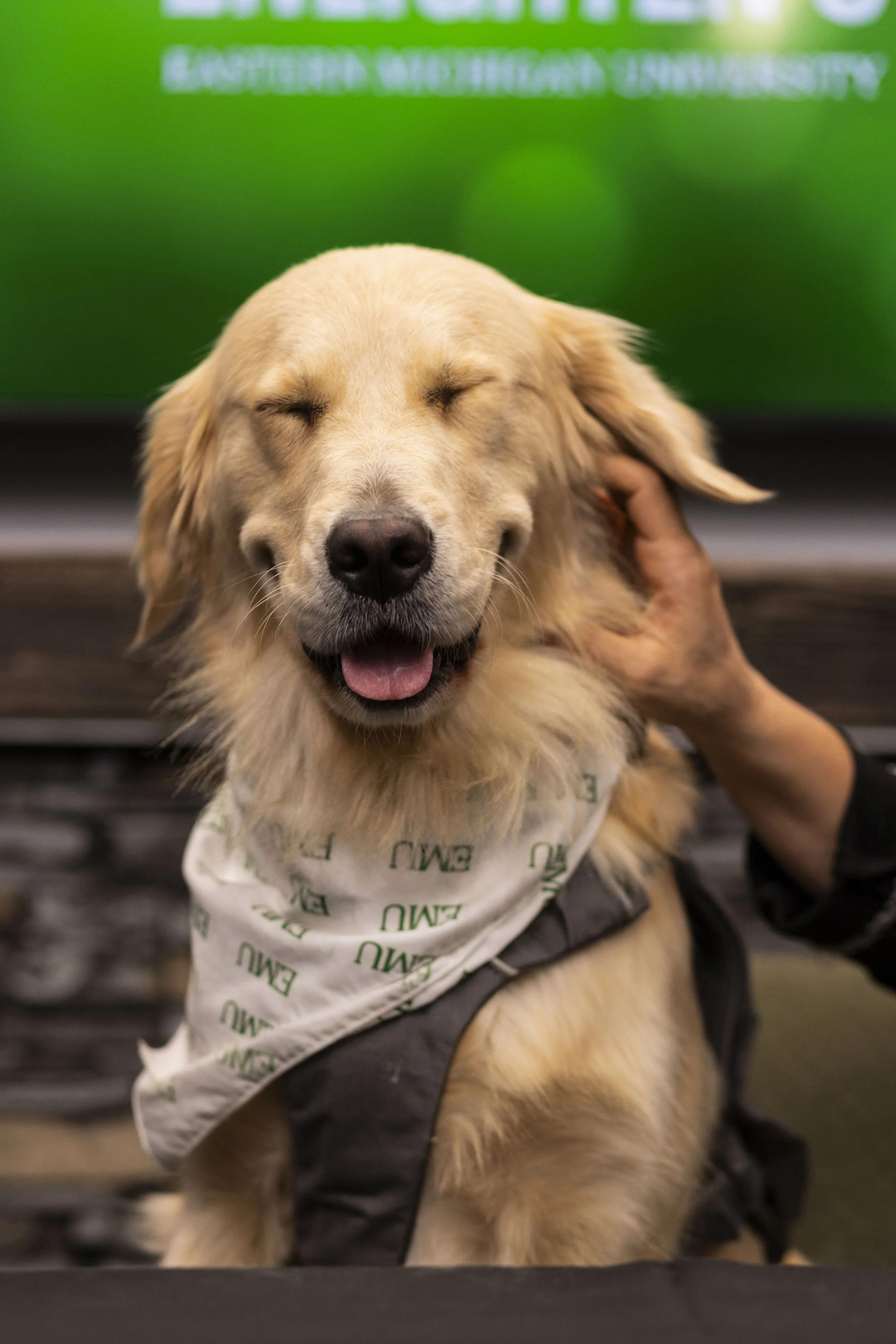 Enligthen U_Tinker.jpg