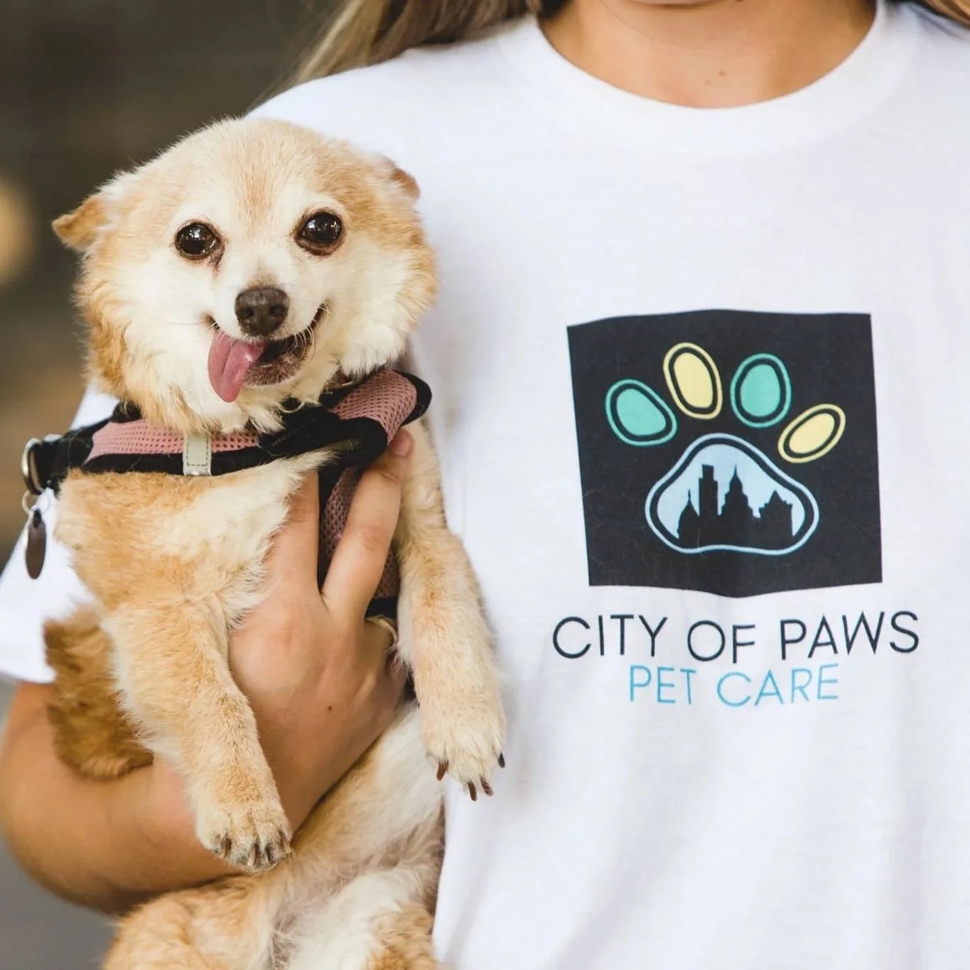 city-of-paws_photo4.jpg