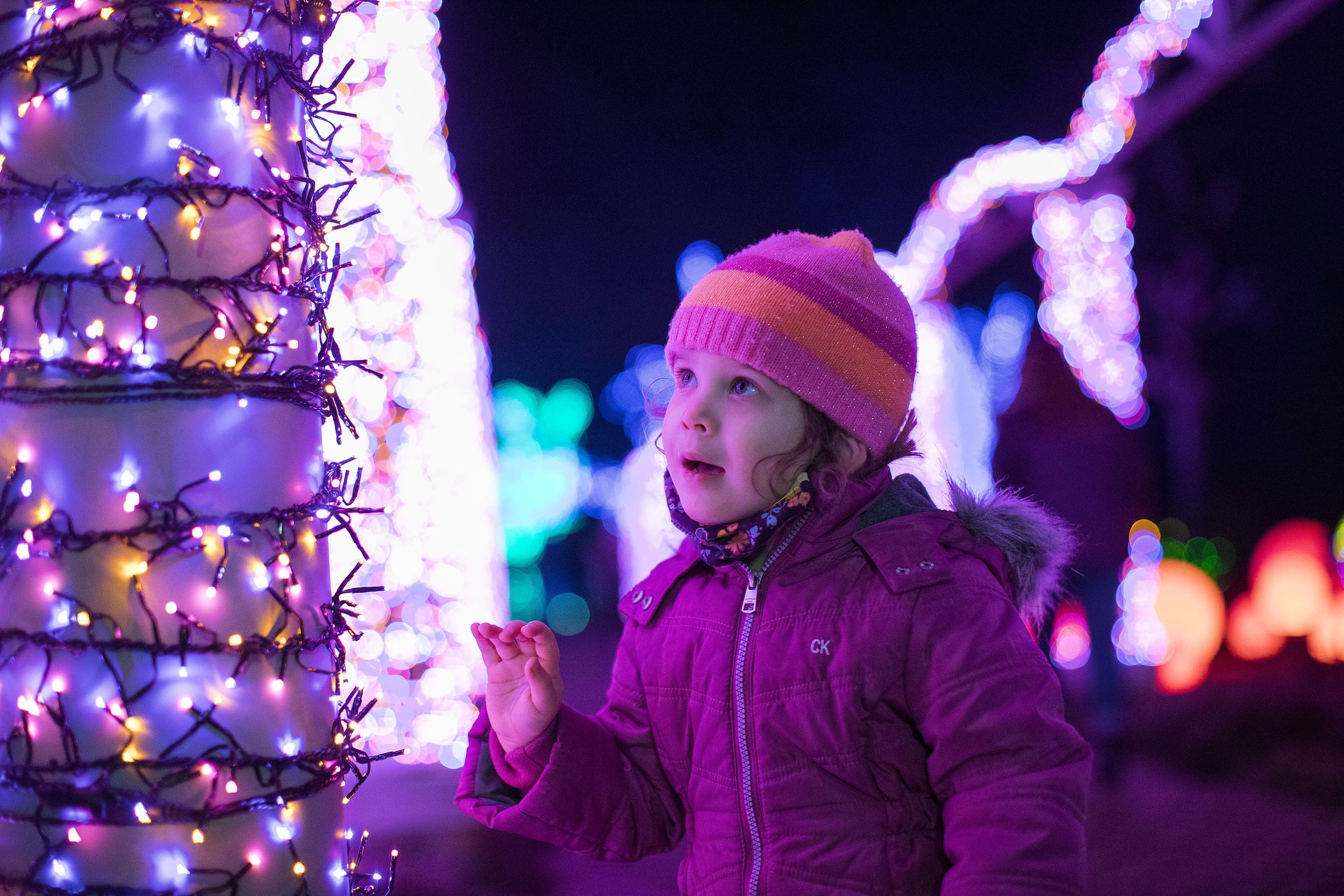 meadow-brook-hall-holidays-jmw-creative_088.jpg
