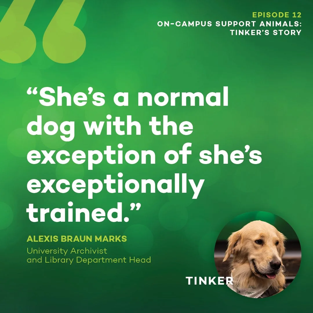 Enlighten U_12_Quote1_square.jpg