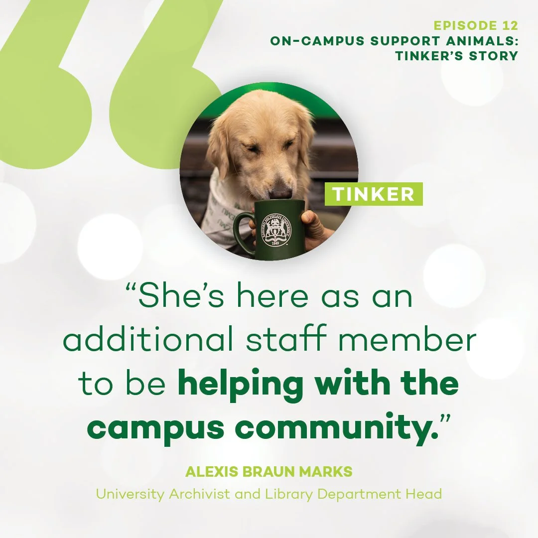 Enlighten U_12_Quote3_square.jpg