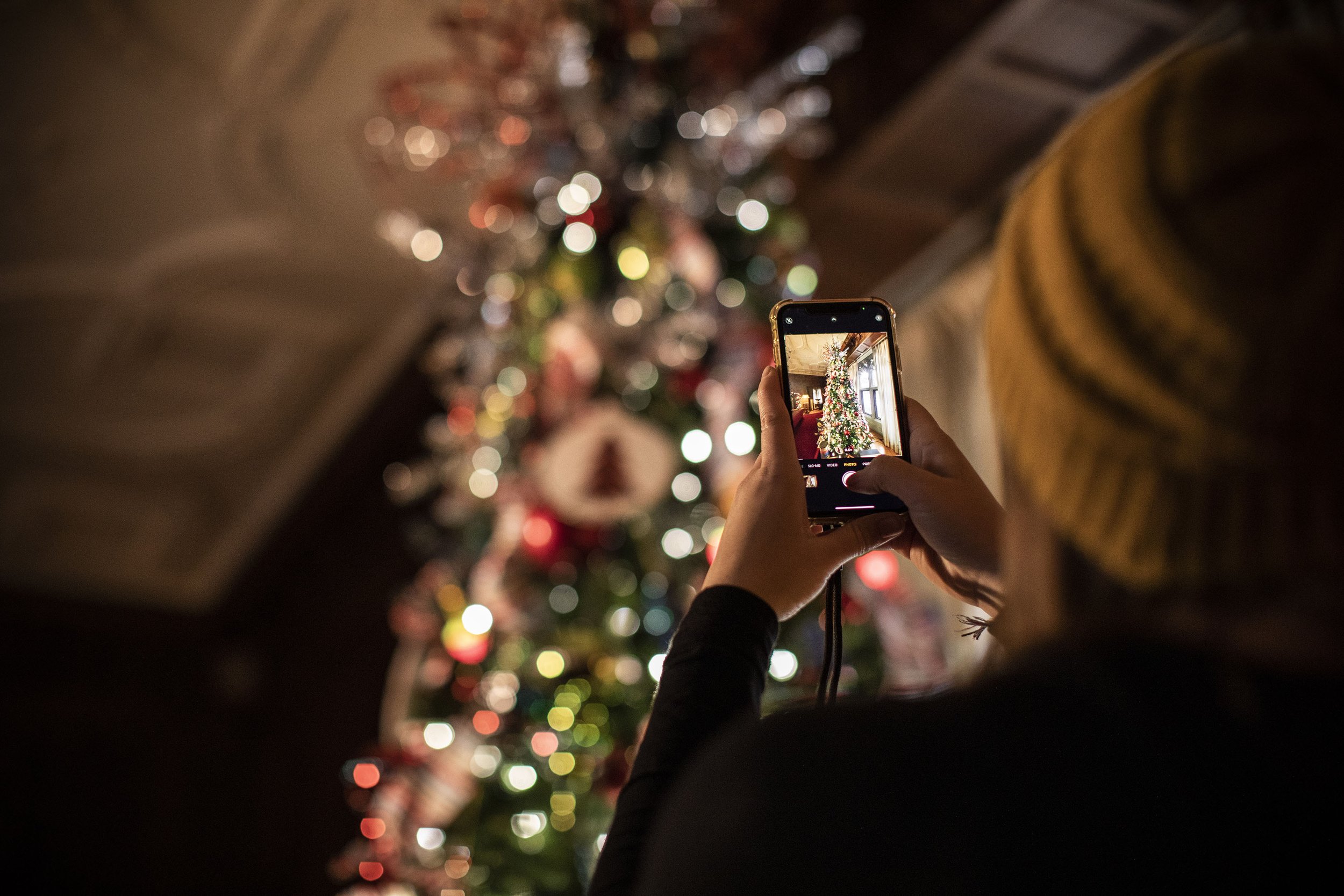 meadow-brook-hall-holidays-jmw-creative_056.jpg