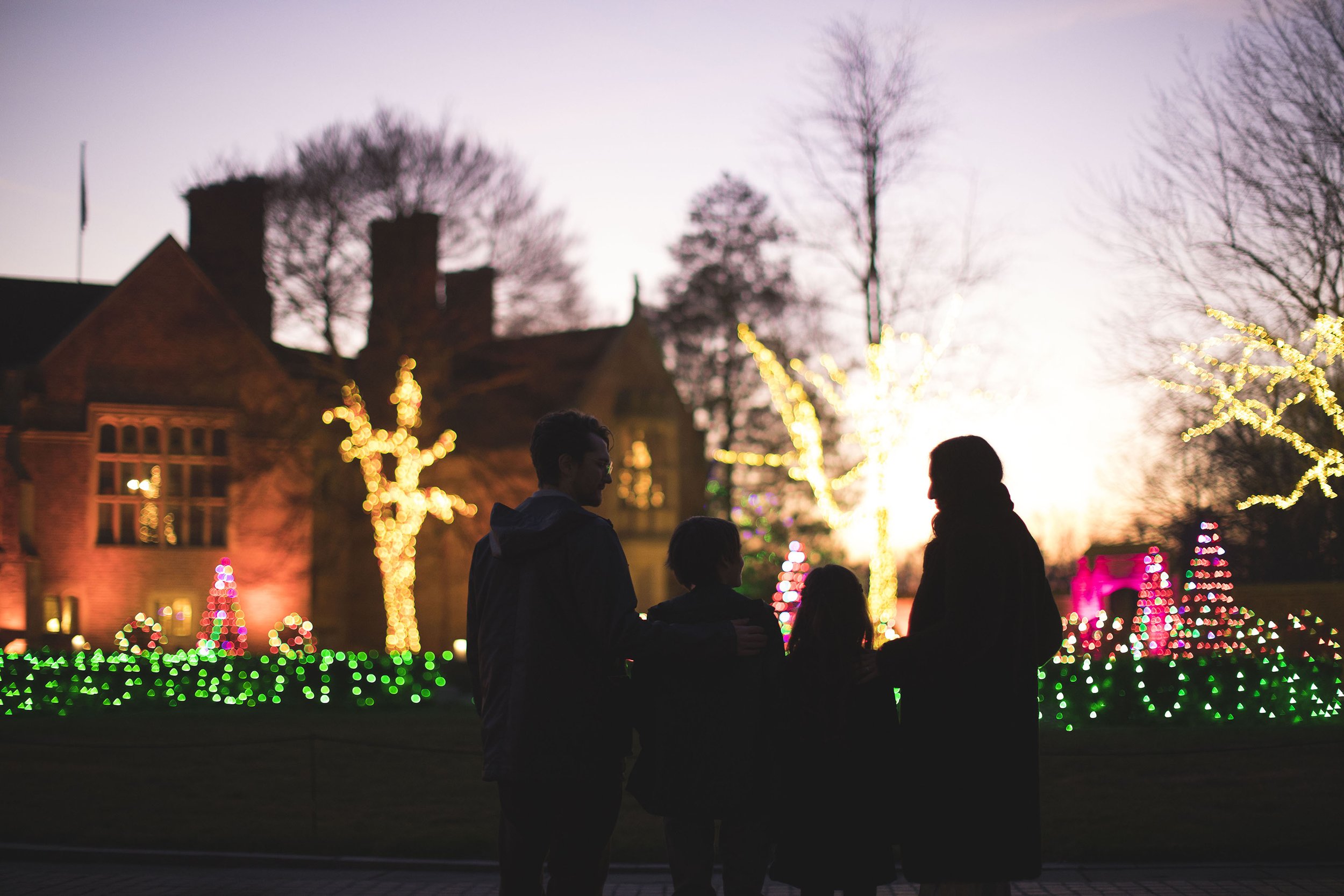 meadow-brook-hall-holidays-jmw-creative_084.jpg