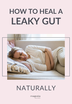How to Heal a Leaky Gut Naturally — Magnolia Wellness