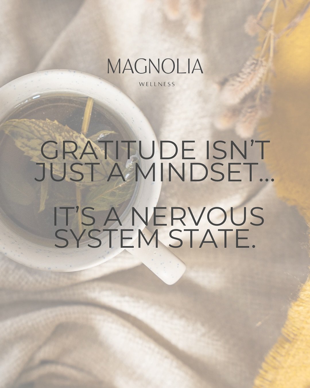 You can&rsquo;t think your way into gratitude when your body is in survival mode.

Gratitude is what your nervous system naturally expresses when it finally feels safe.

That&rsquo;s why we focus on nervous system healing &mdash; not just mindset shi