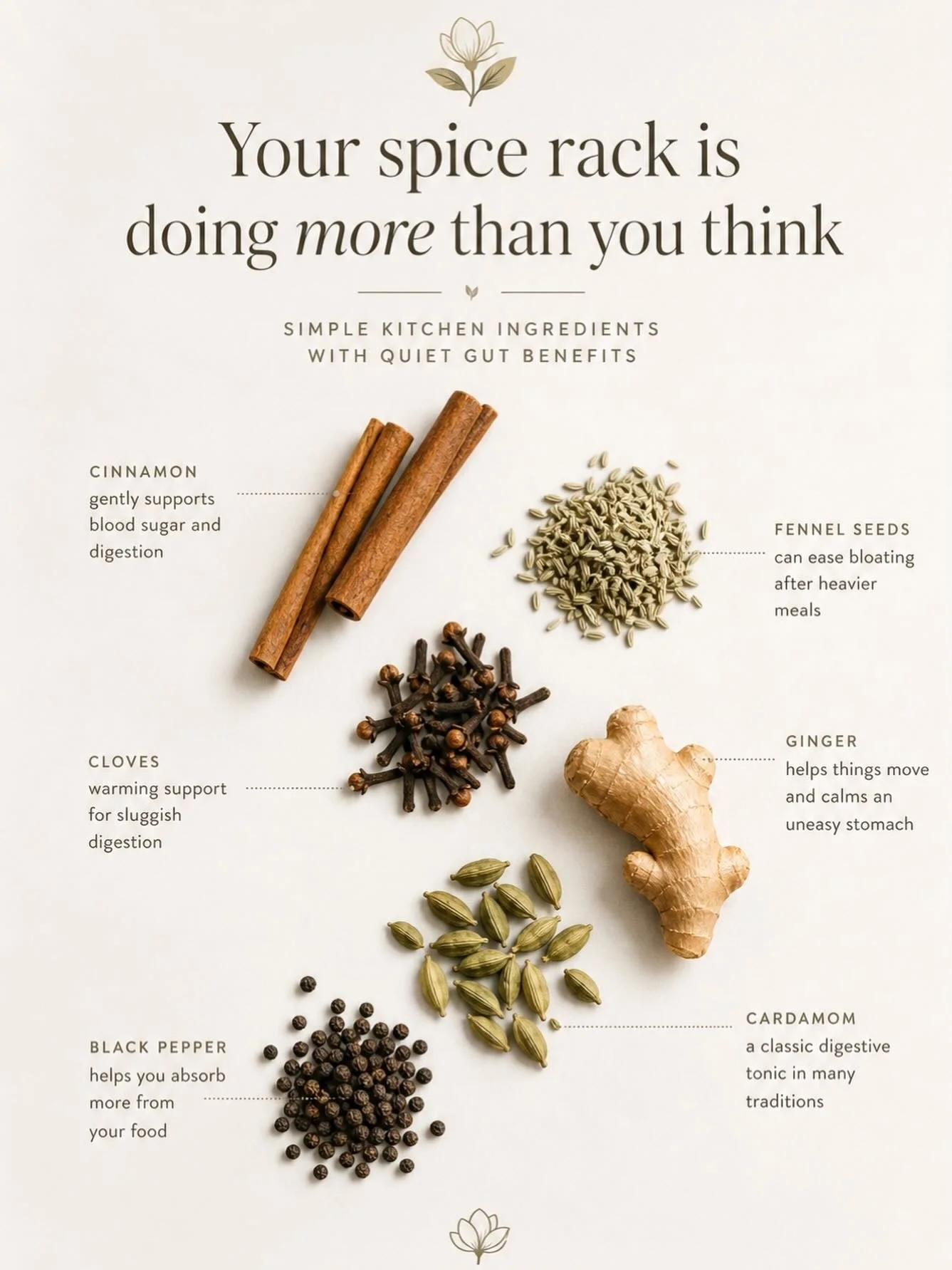 your spice rack might already be doing the work 🌿

cinnamon. fennel. ginger. cloves. cardamom. black pepper.

these aren&rsquo;t exotic supplements or a complicated protocol. they&rsquo;re sitting in your kitchen right now &mdash; and they&rsquo;ve 