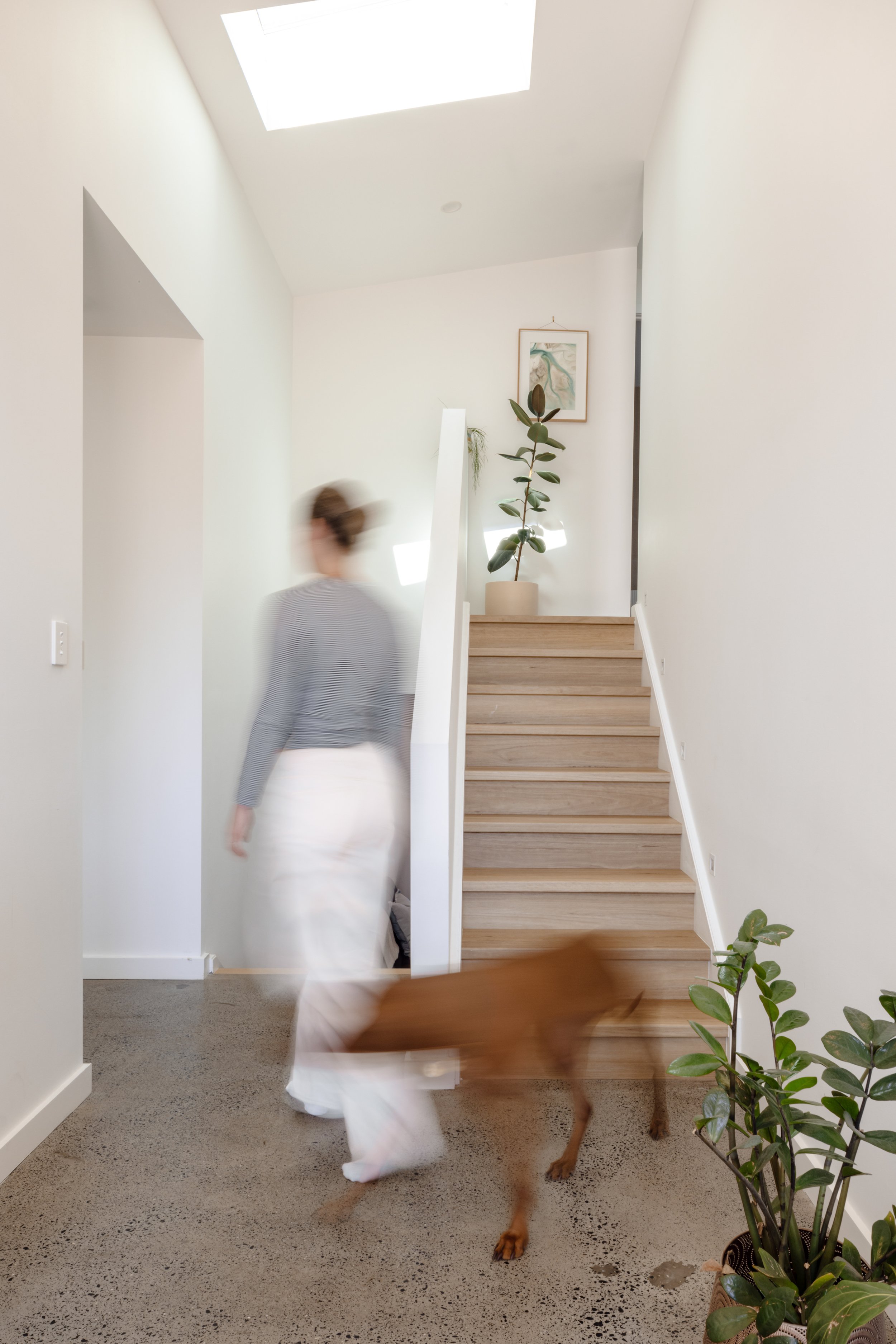 BlackwallHouse-119.jpg