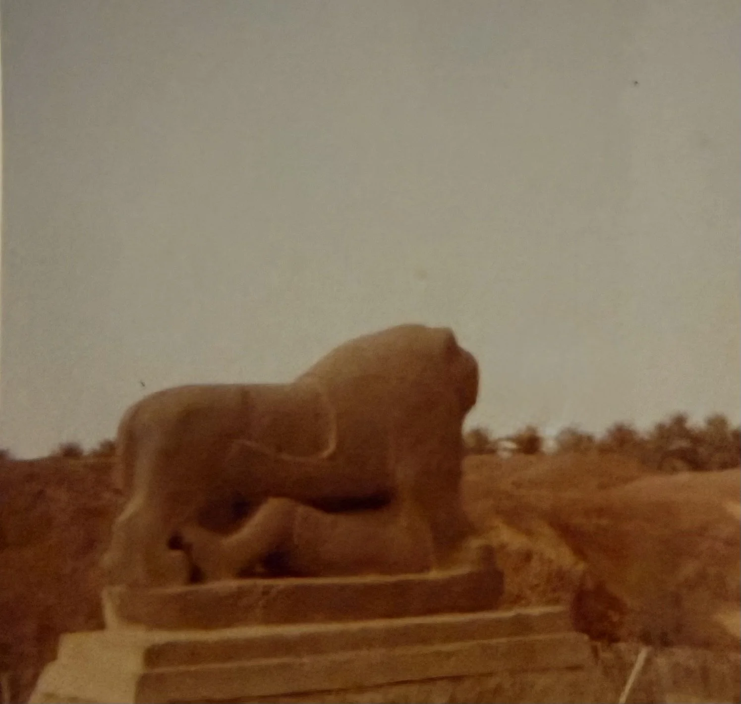 The Lion of Babylon photographed on our visit in 1971