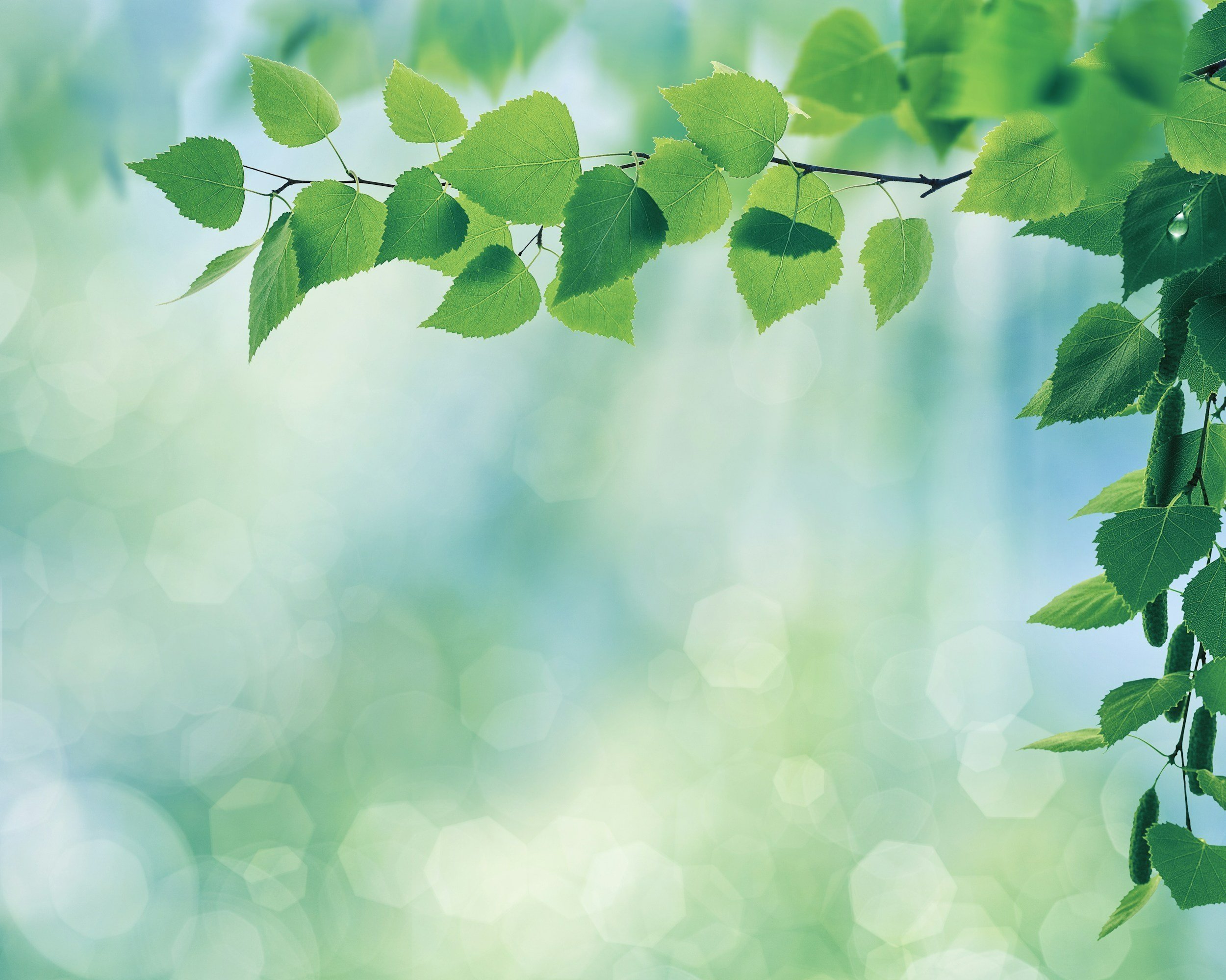 Angels of the Whispering Leaves. Image by Dmytro Tolokonov @dtolokonov