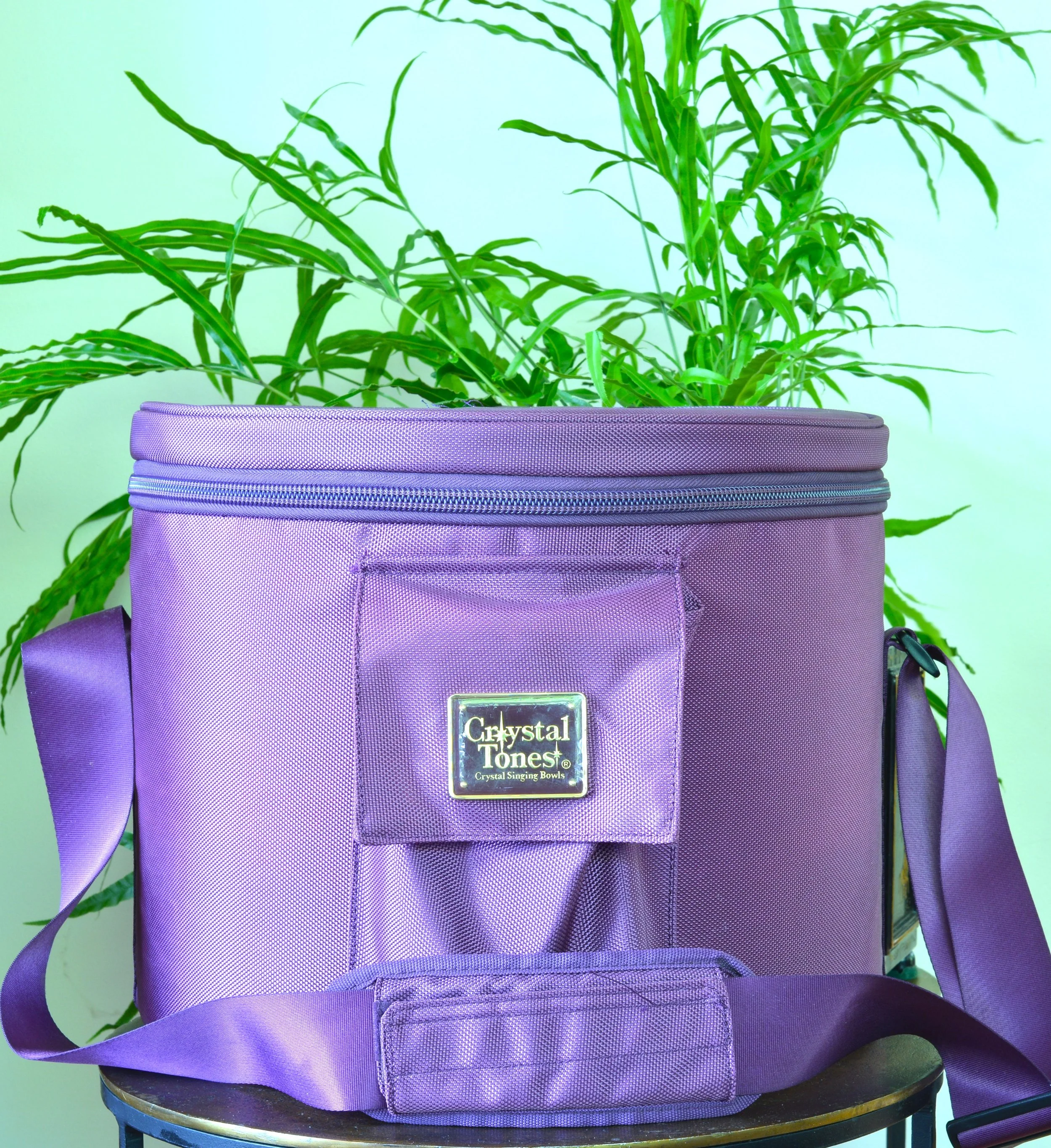 1 x 12" Purple Nylon Carry Case