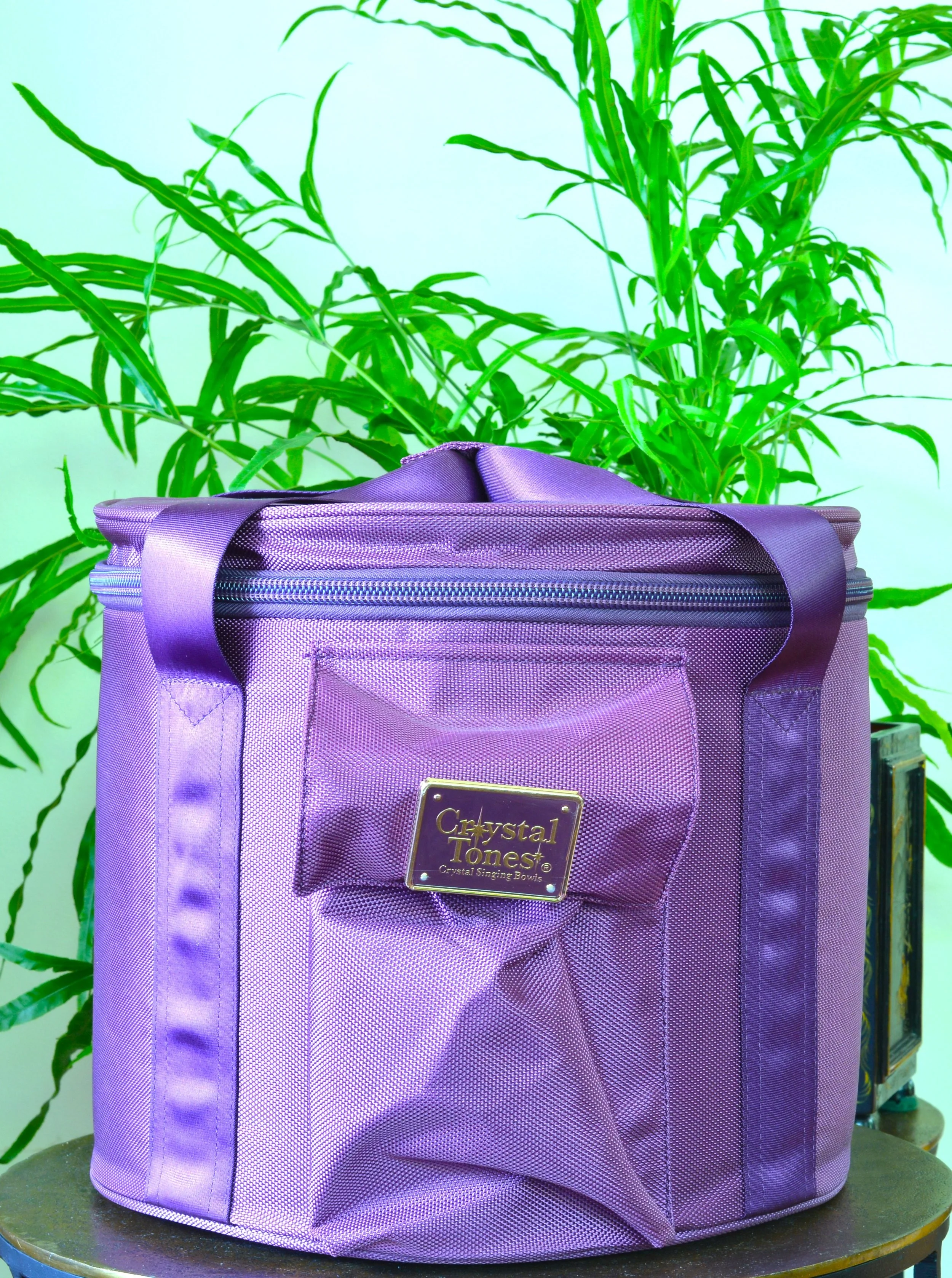 1 x 9" Purple Nylon Carry Case