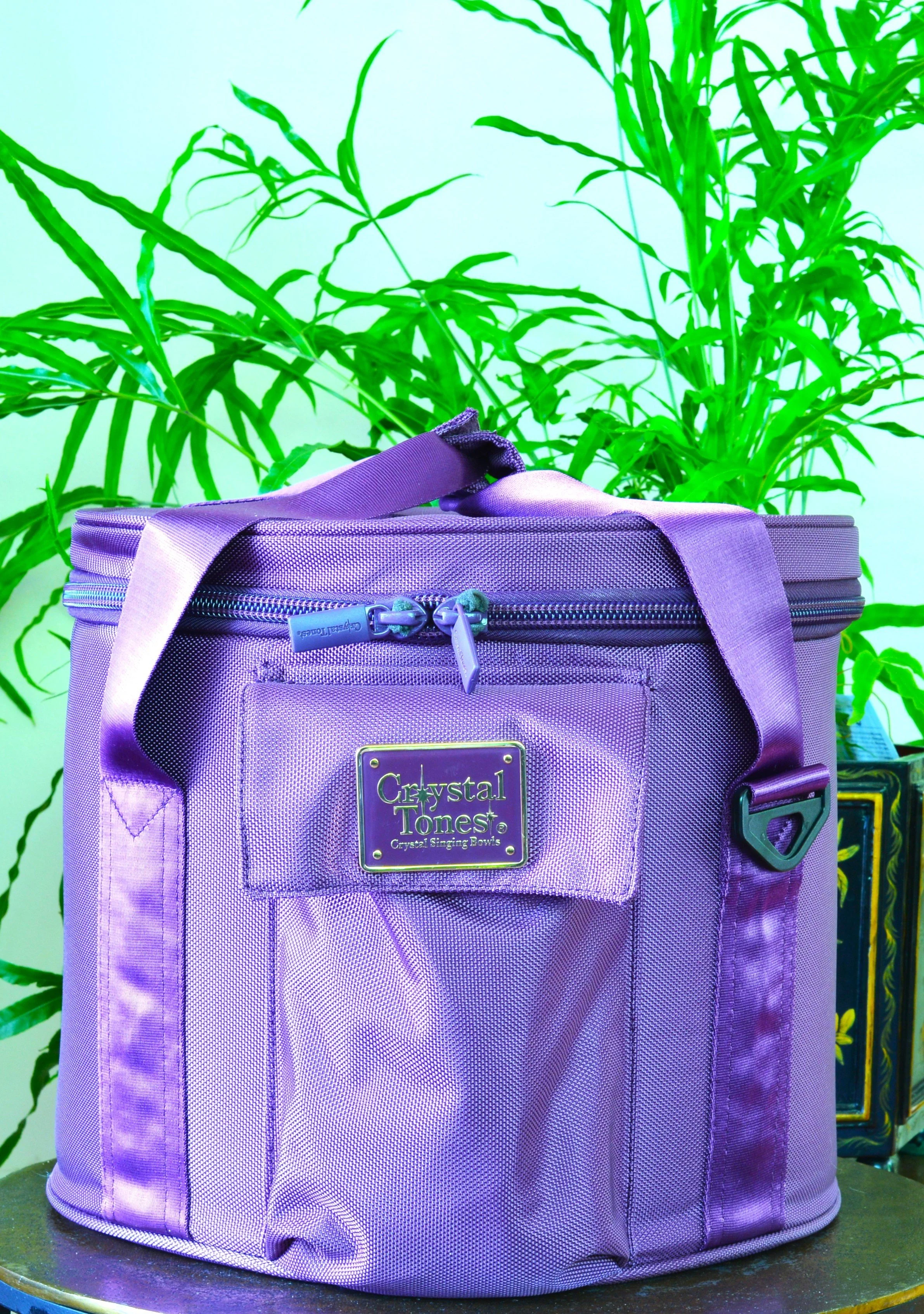 5 x 10" Purple Nylon Carry Case
