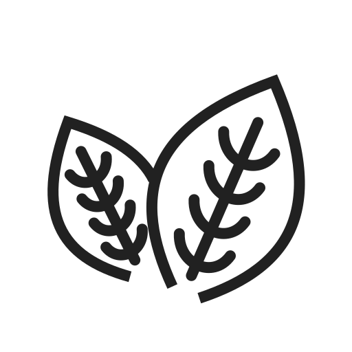 Fresh ingredients icon