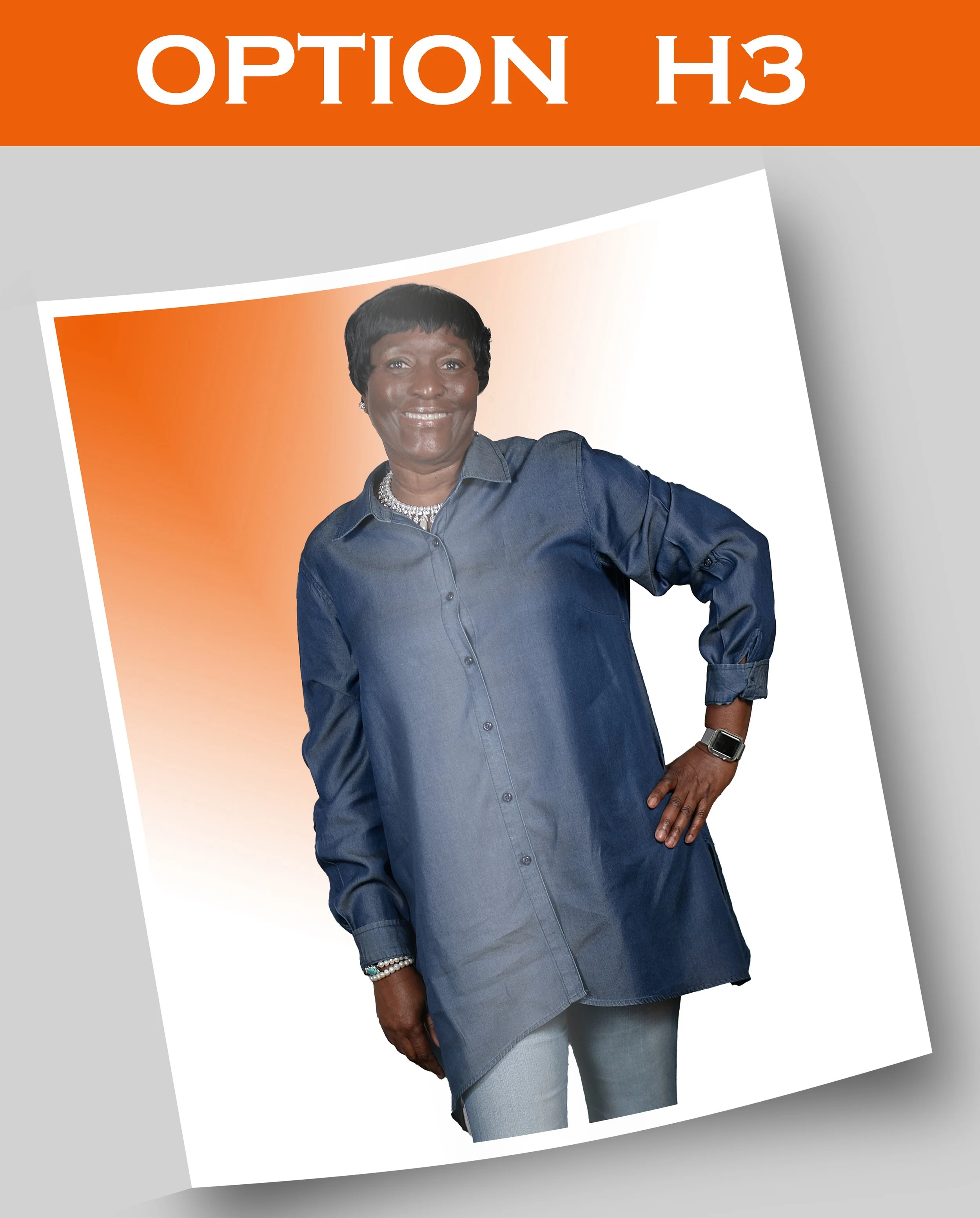 Option H3.jpg
