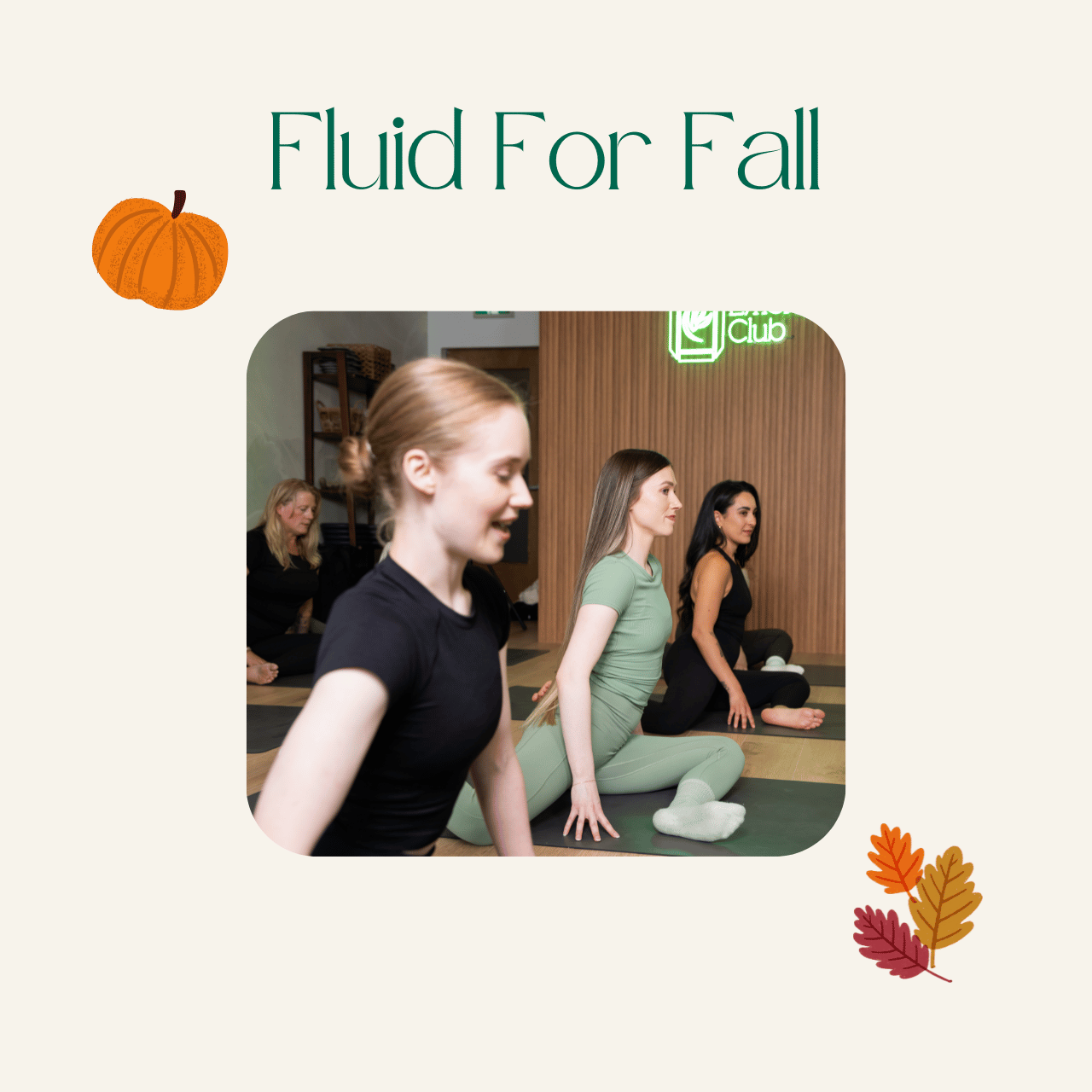 Fluid For Fall (3x 30-Min Mobility Classes)
