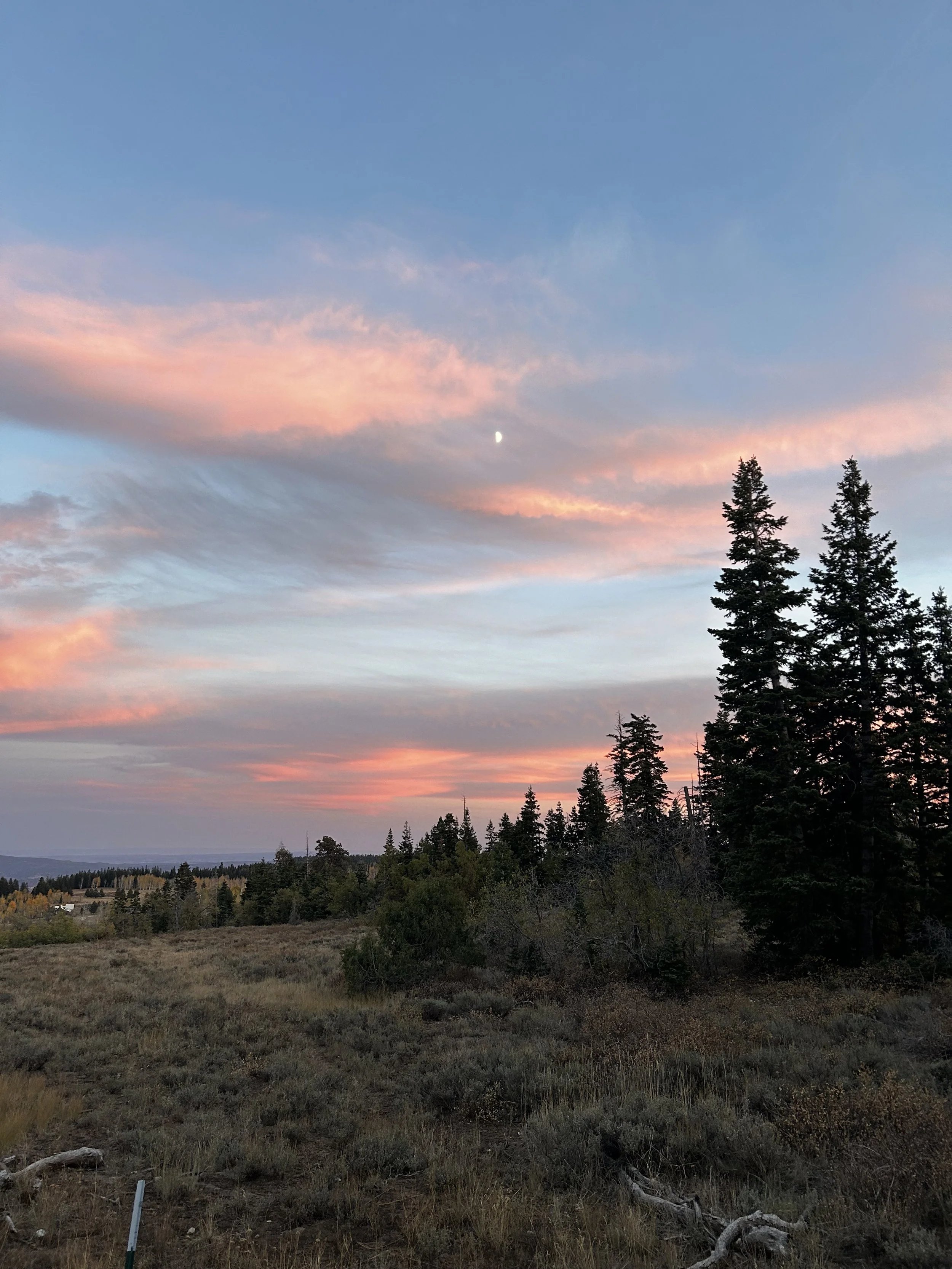 Sunset over a mountainous landscape with trees, pink and blue sky, and visible moon.
