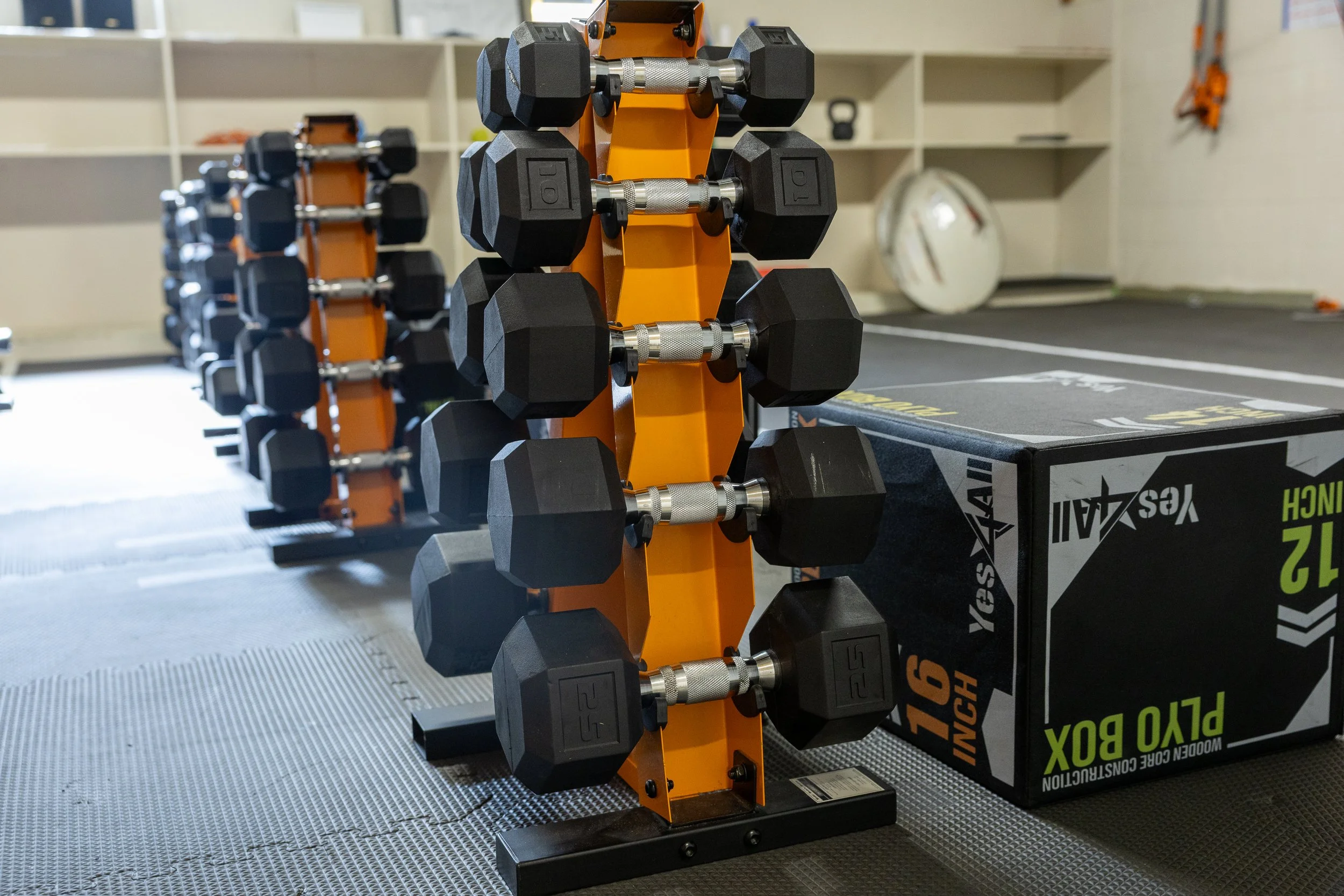 tacoma-project-physical-fitness-and-gym