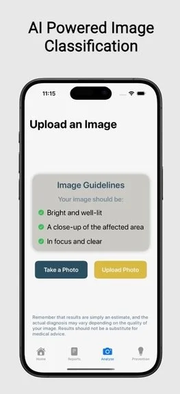 gallery-8.jpg