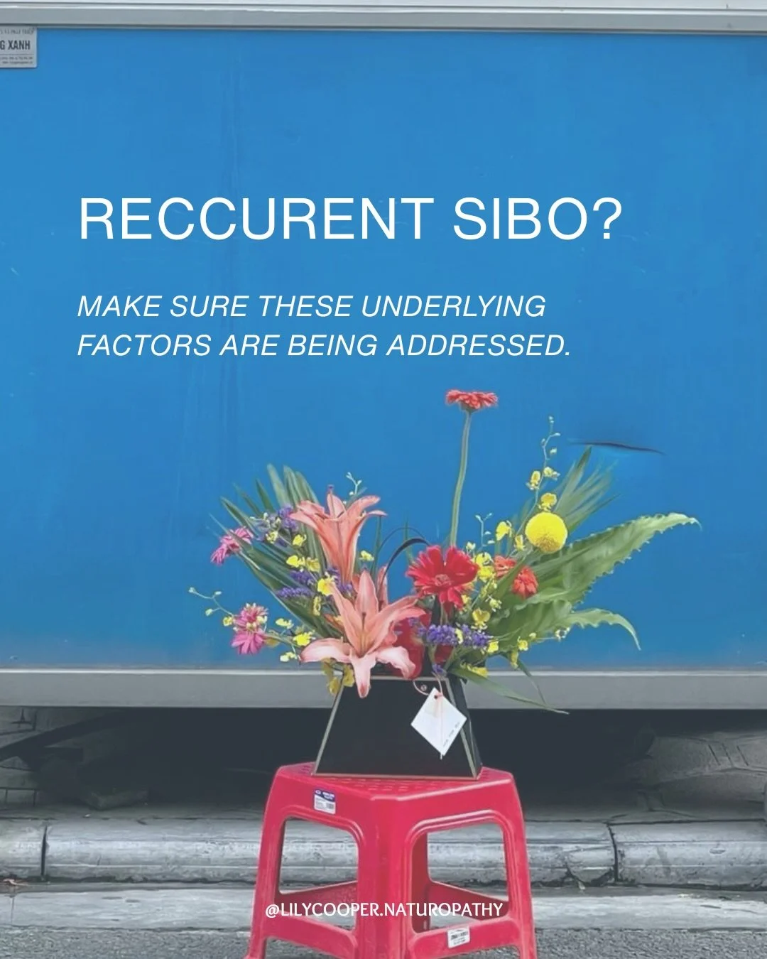 SIBO can be frustratingly recurrent, especially when treatment focuses solely on reducing bacterial overgrowth without addressing why it developed in the first place 🌀 

While antimicrobial therapies may have a role, long-term management often requi