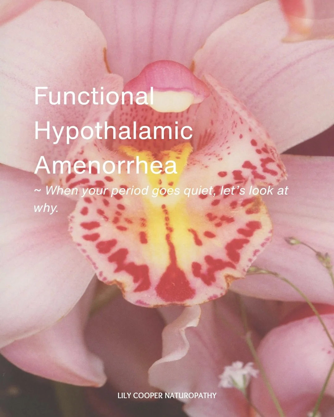 Functional hypothalamic amenorrhea ~ What it is, and why it&rsquo;s important to look deeper for reasons beyond fertility. 

Diet, lifestyle, nutrient repletion, and ensuring you&rsquo;re not experiences RED-S are so important when supporting FHA. Th