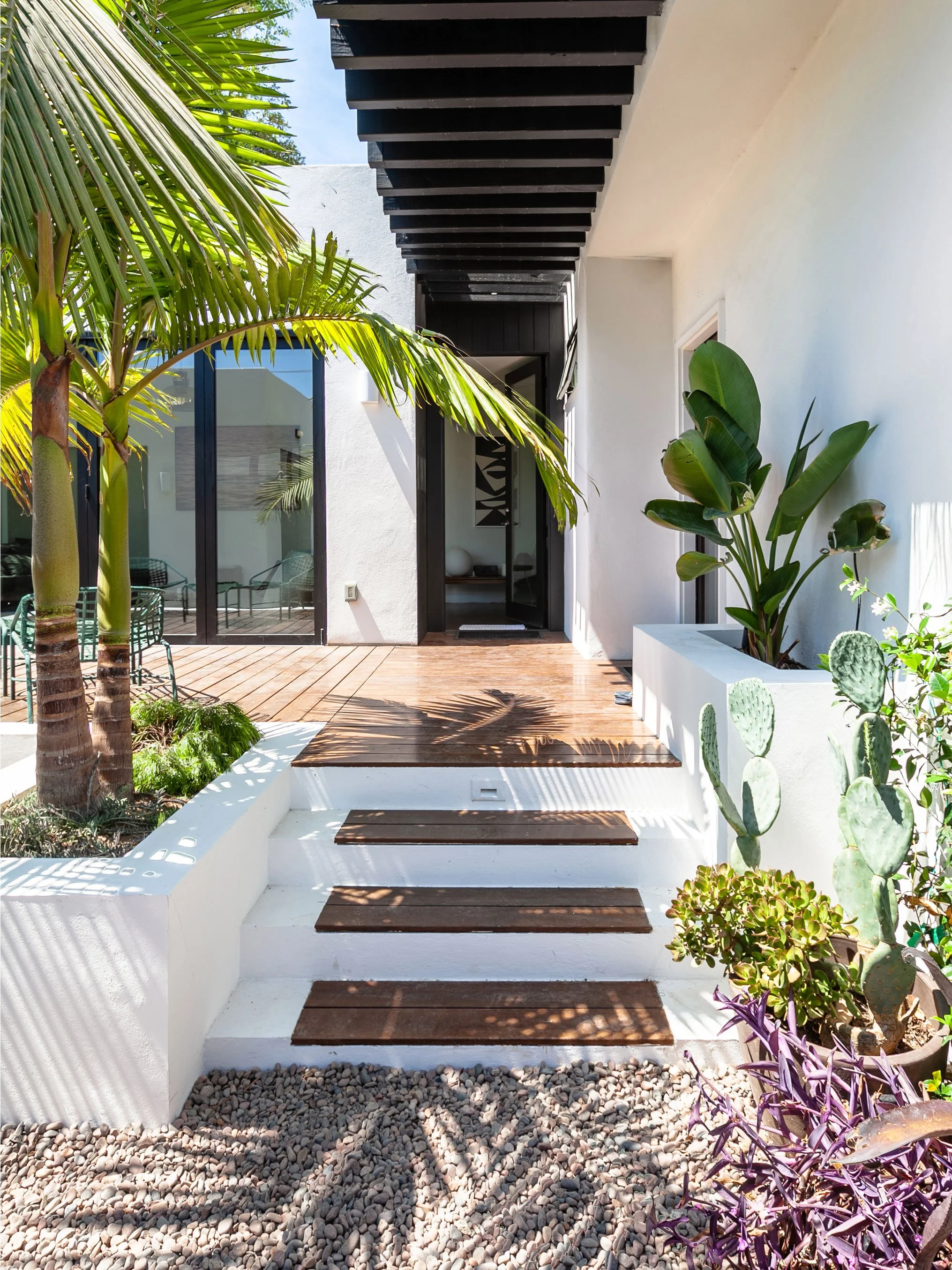 Modern house exterior with white walls, wooden steps, and tropical plants including a palm and cactus, leading to a glass door entrance.